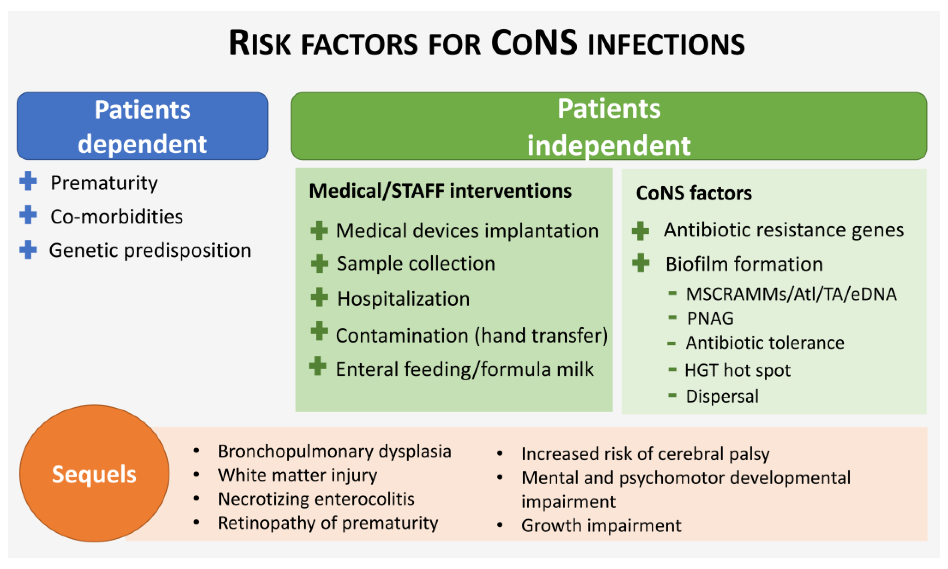 Fact sheet on Staphylococcus - Examining Food