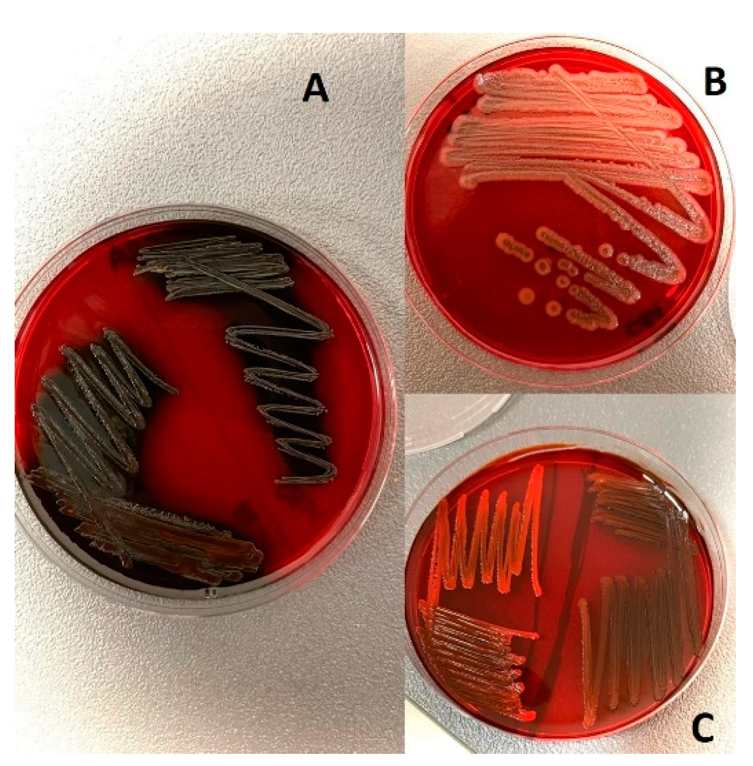 Antibiotics 12 00556 g003 Antibiotics 12 00556 g003