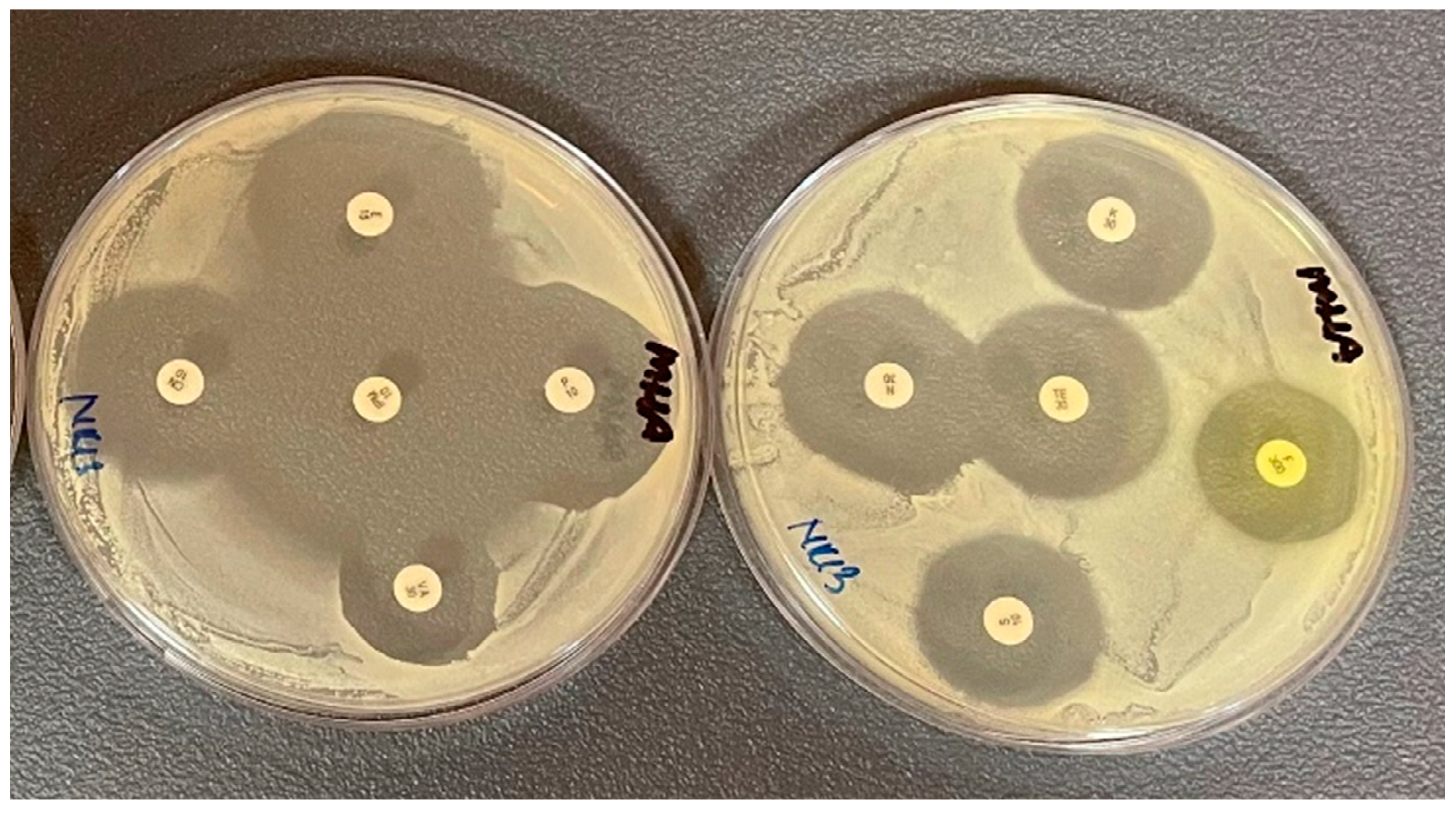 Antibiotics 12 00556 g004 Antibiotics 12 00556 g004