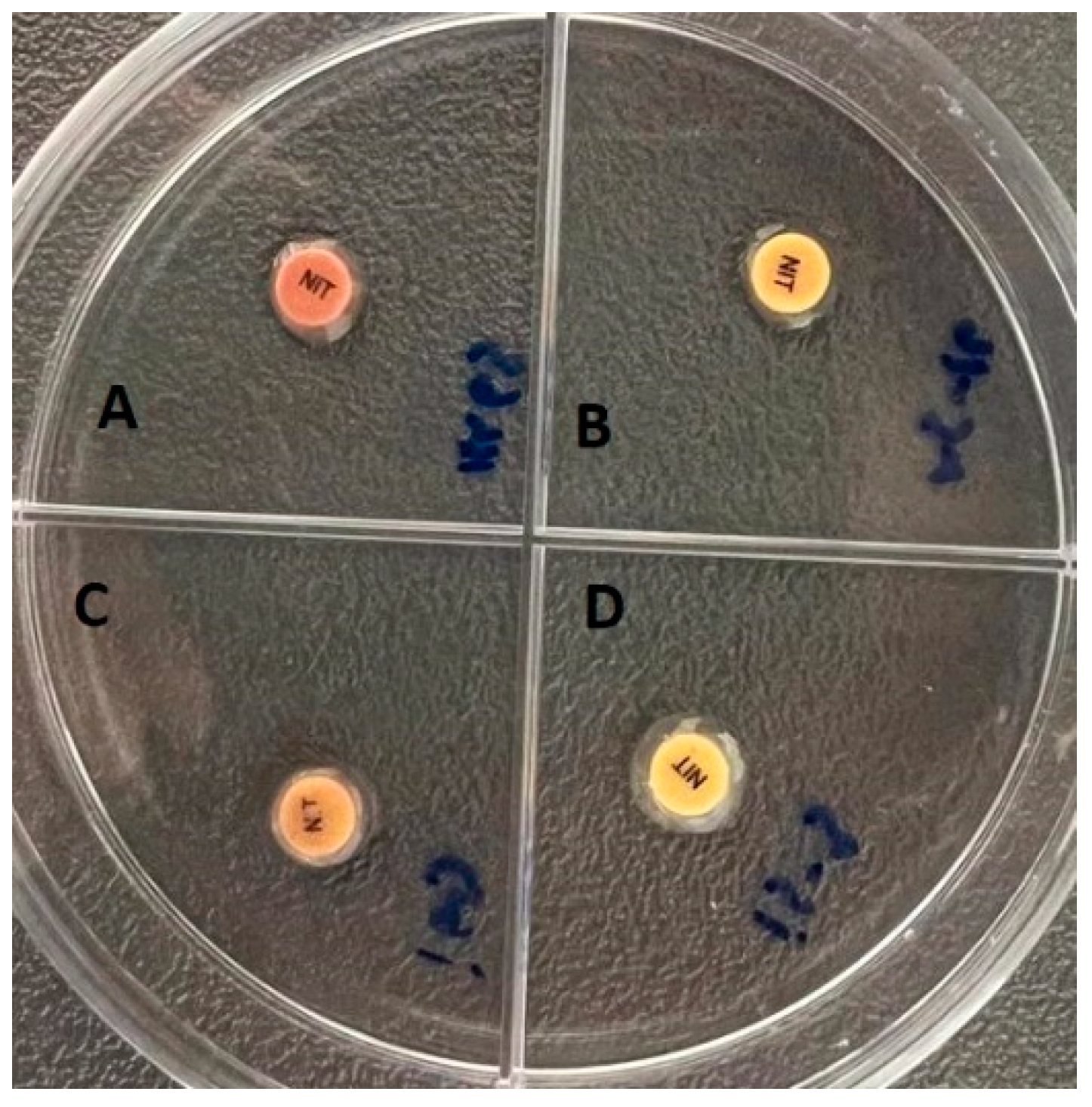 Antibiotics 12 00556 g005 Antibiotics 12 00556 g005