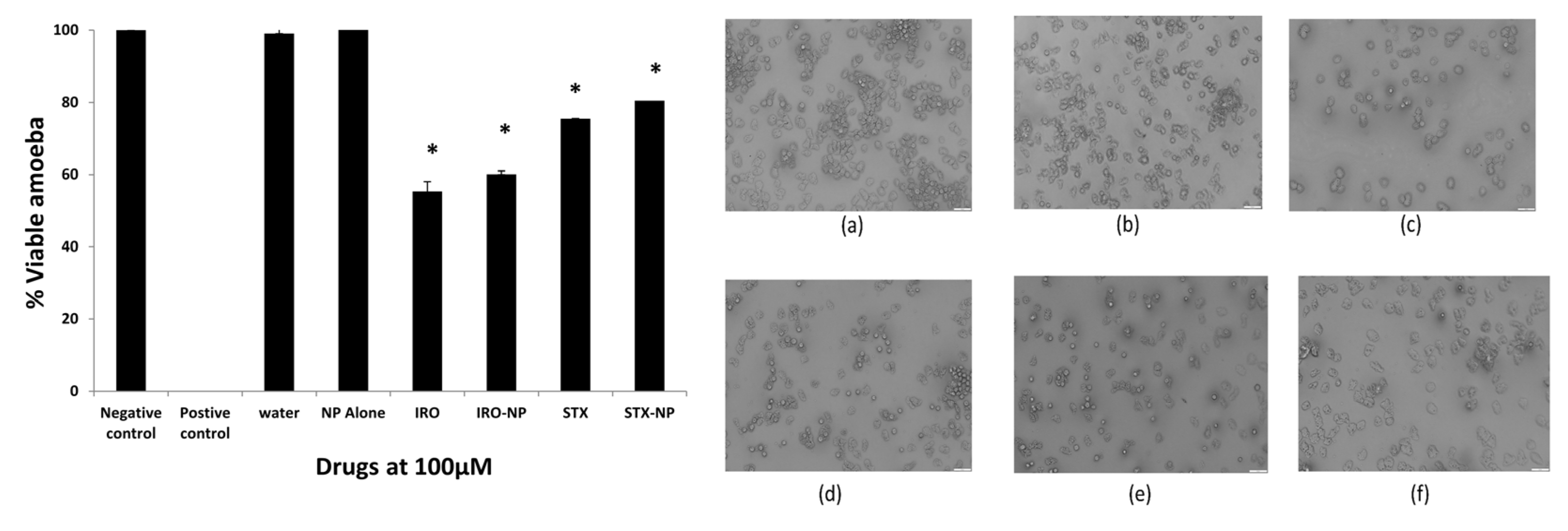 Antibiotics 12 00561 g005 Antibiotics 12 00561 g005
