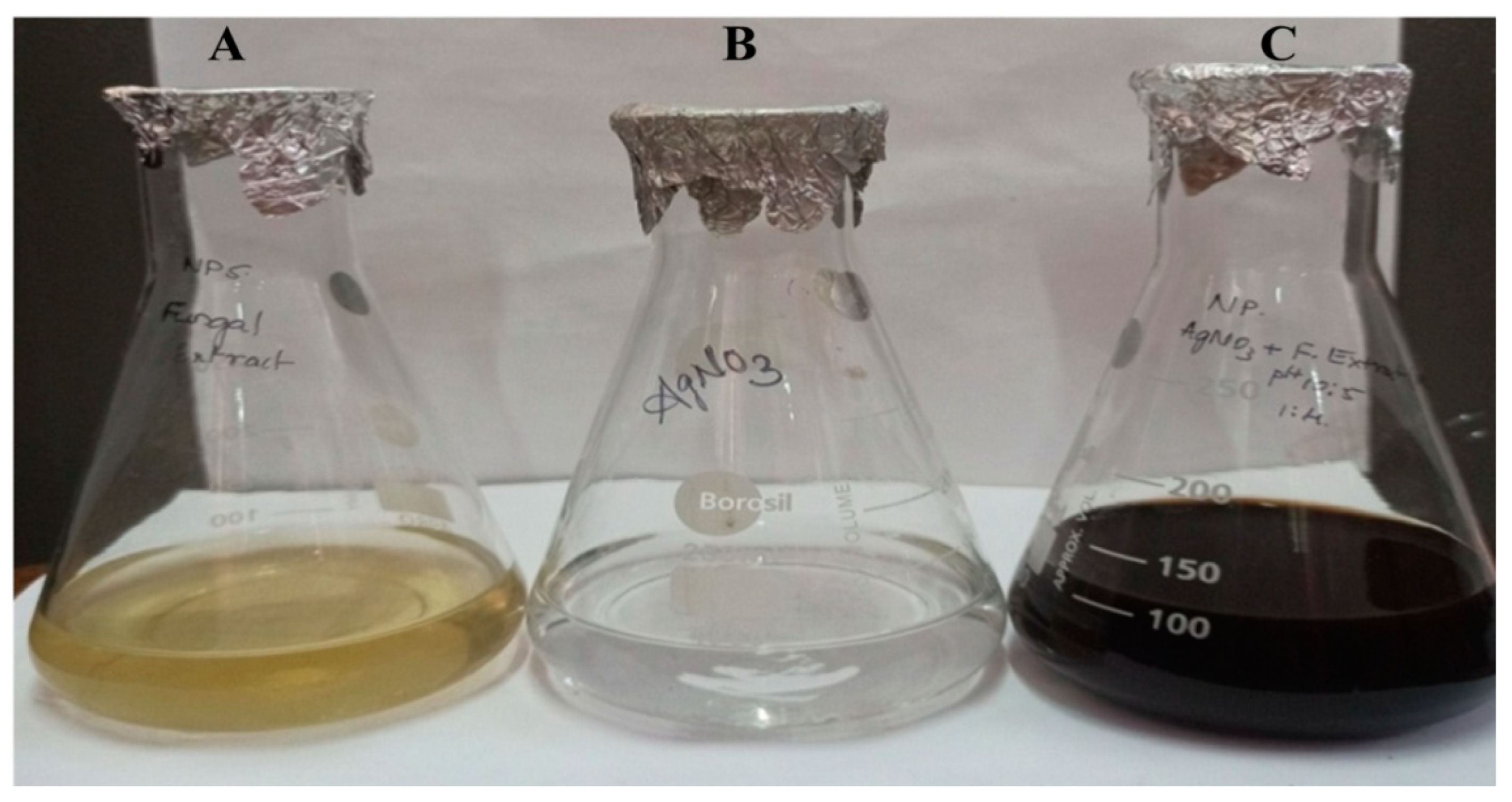 Antibiotics 12 00567 g003 Antibiotics 12 00567 g003