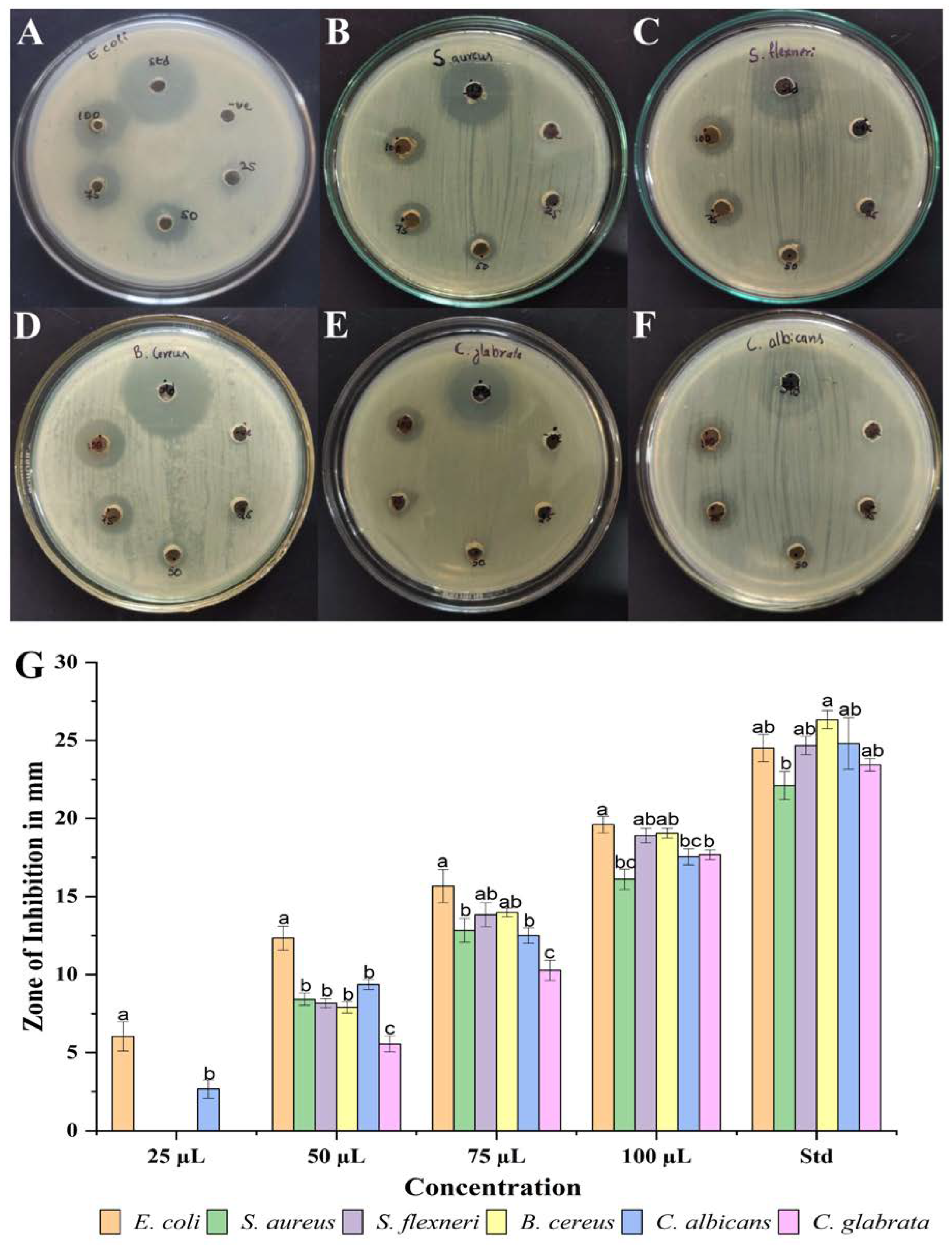 Antibiotics 12 00567 g009 Antibiotics 12 00567 g009