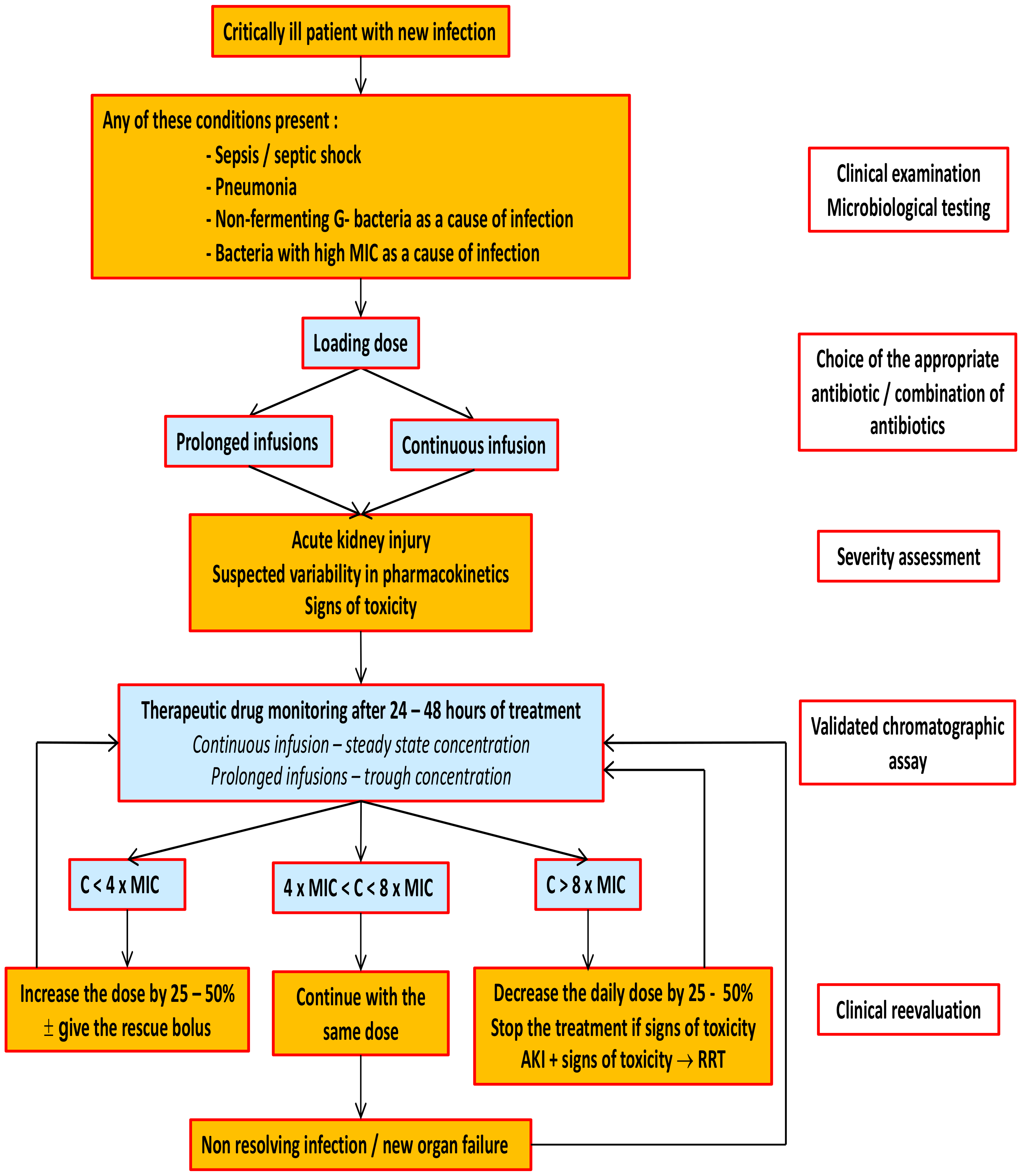 Antibiotics Free FullText Update on Therapeutic Drug Monitoring of