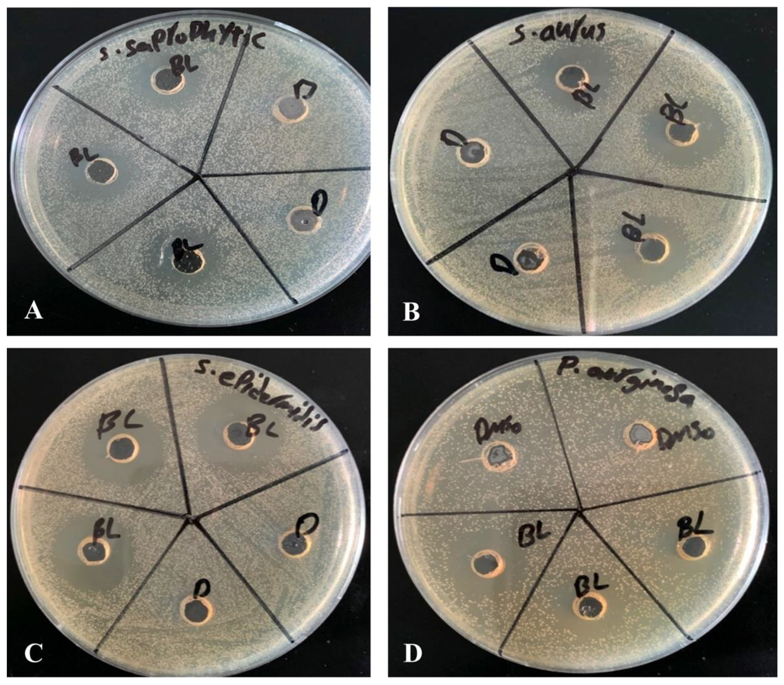 Antibiotics 12 00576 g001