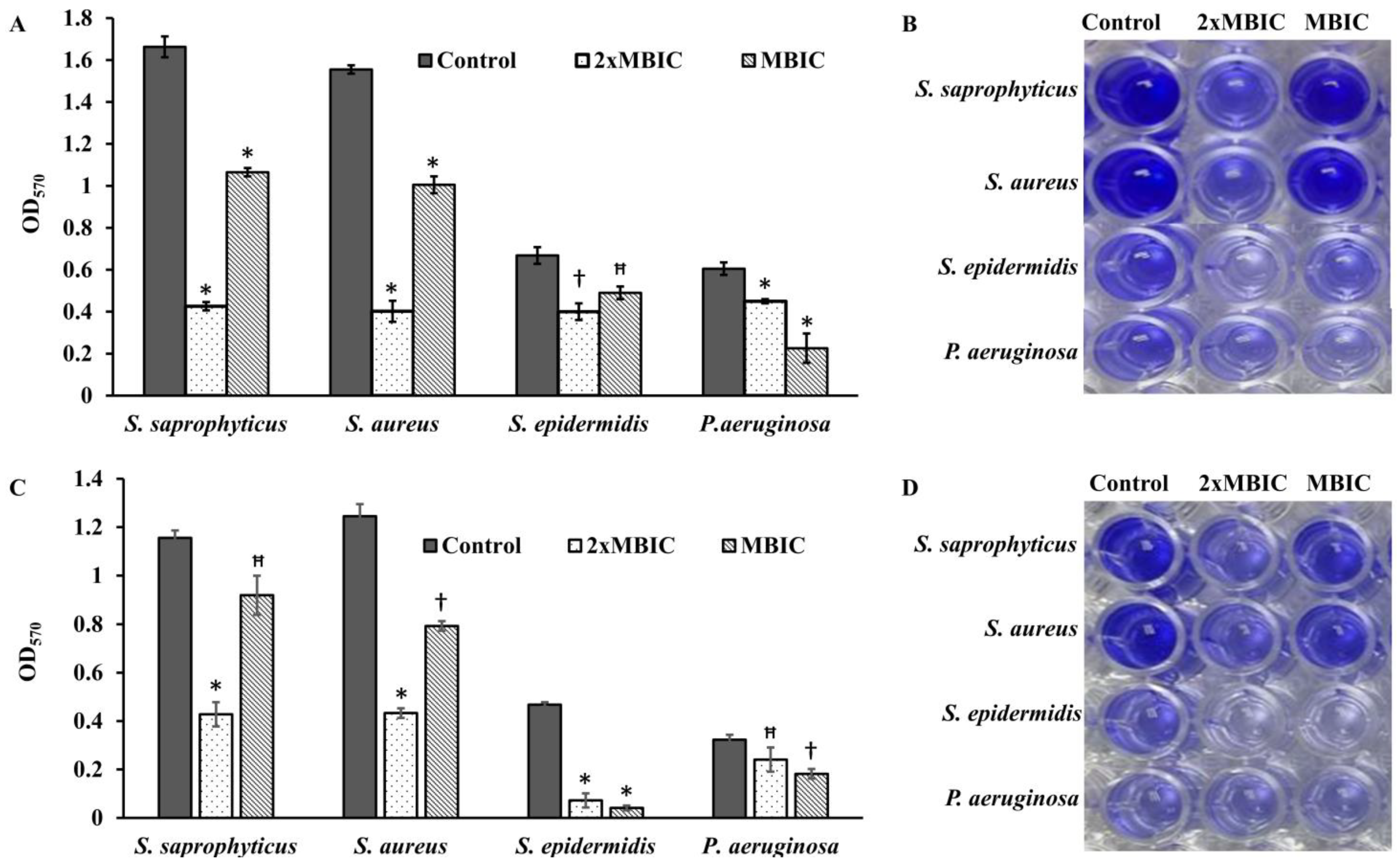Antibiotics 12 00576 g008