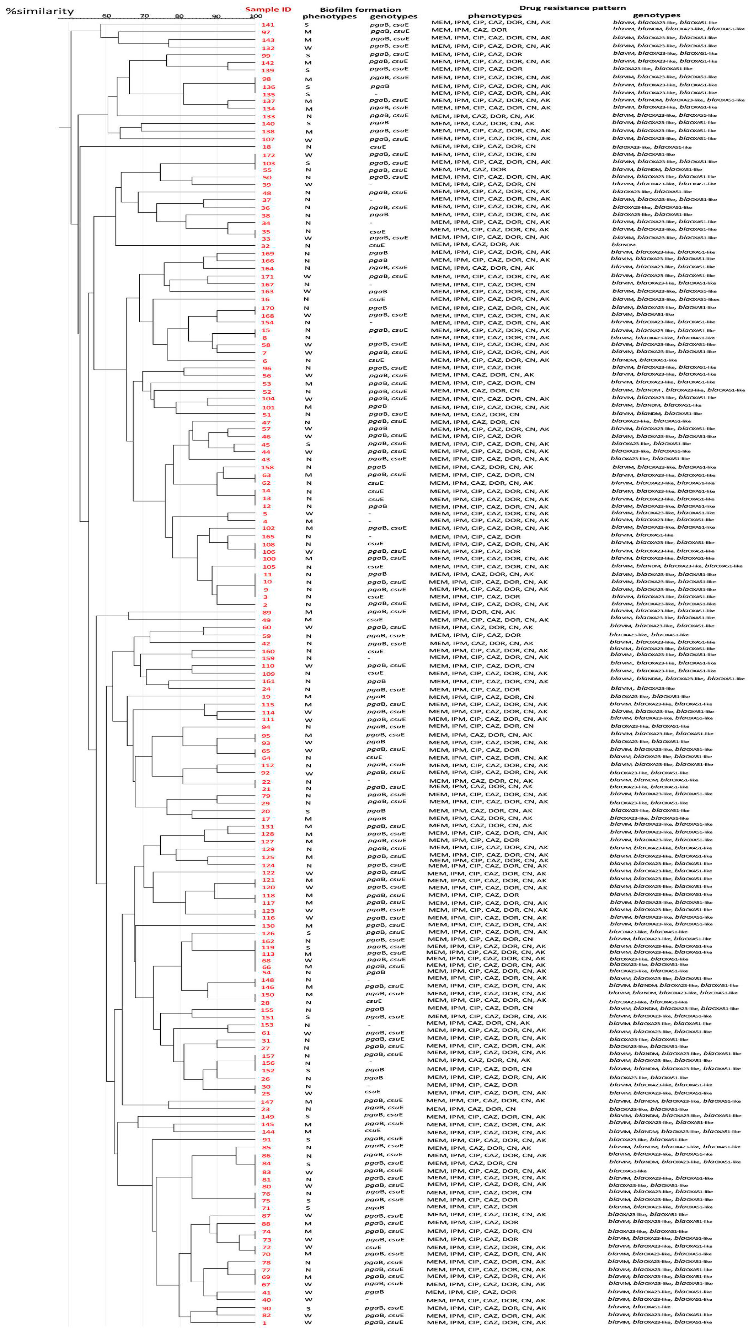 Antibiotics 12 00580 g003 Antibiotics 12 00580 g003
