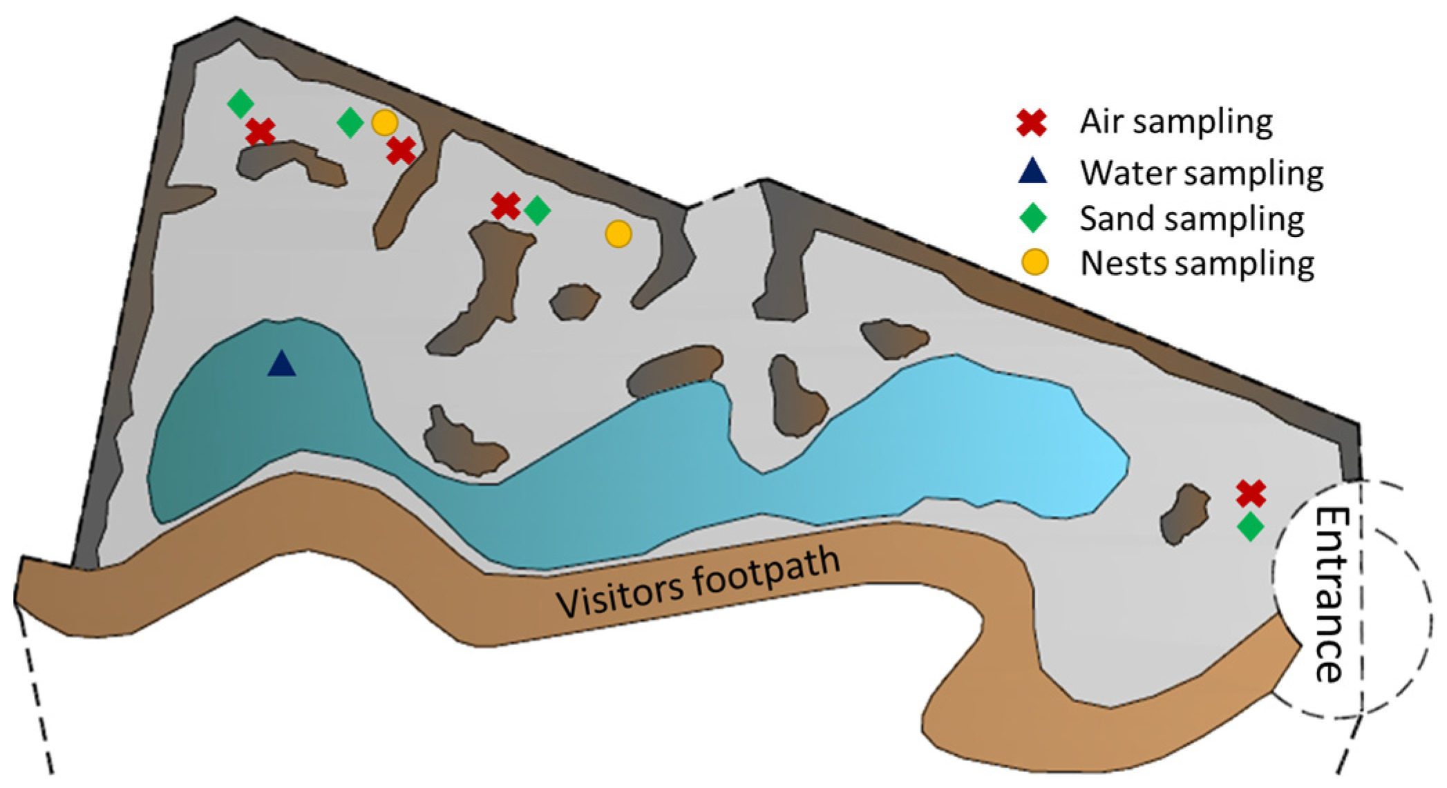 Antibiotics 12 00584 g001