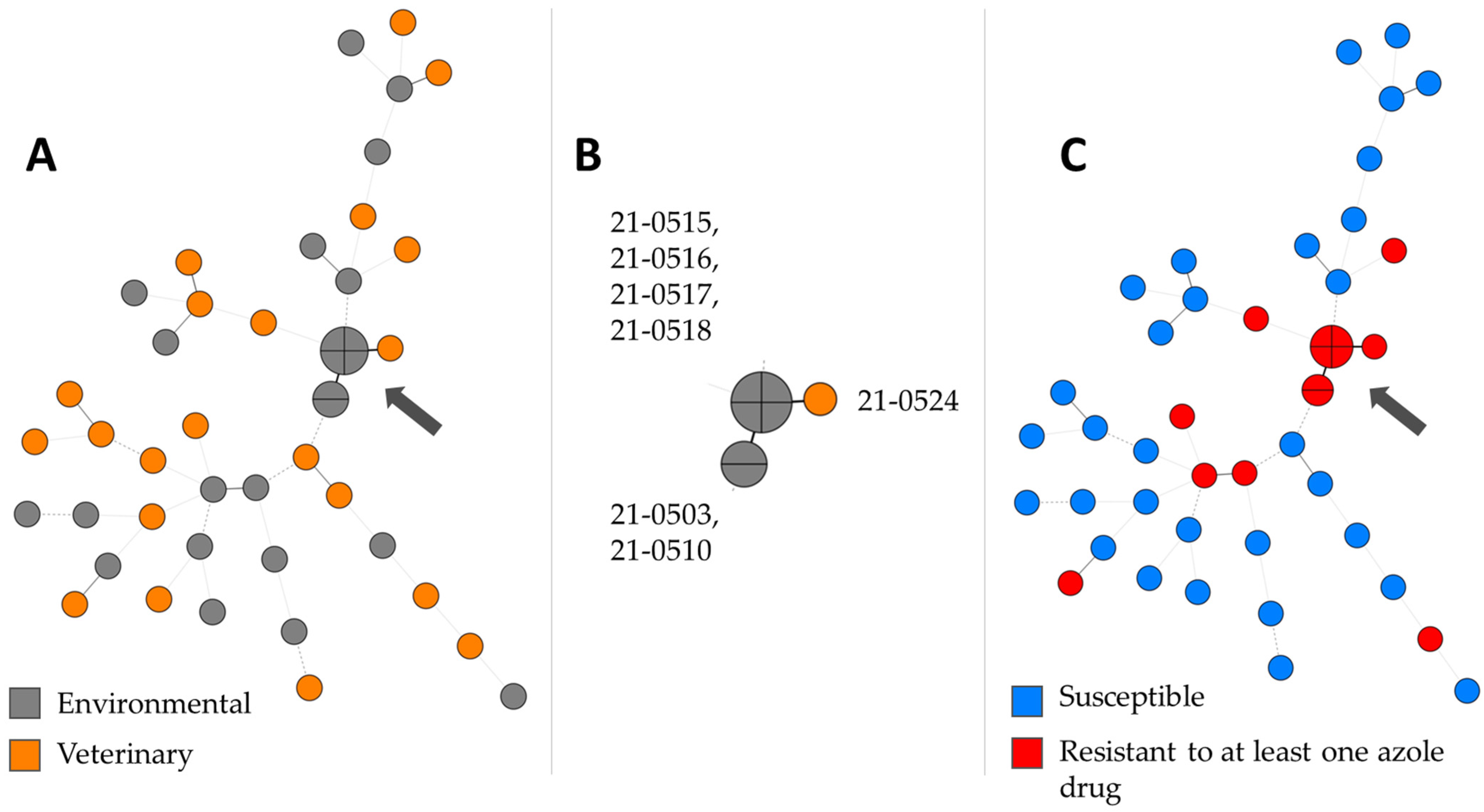 Antibiotics 12 00584 g003