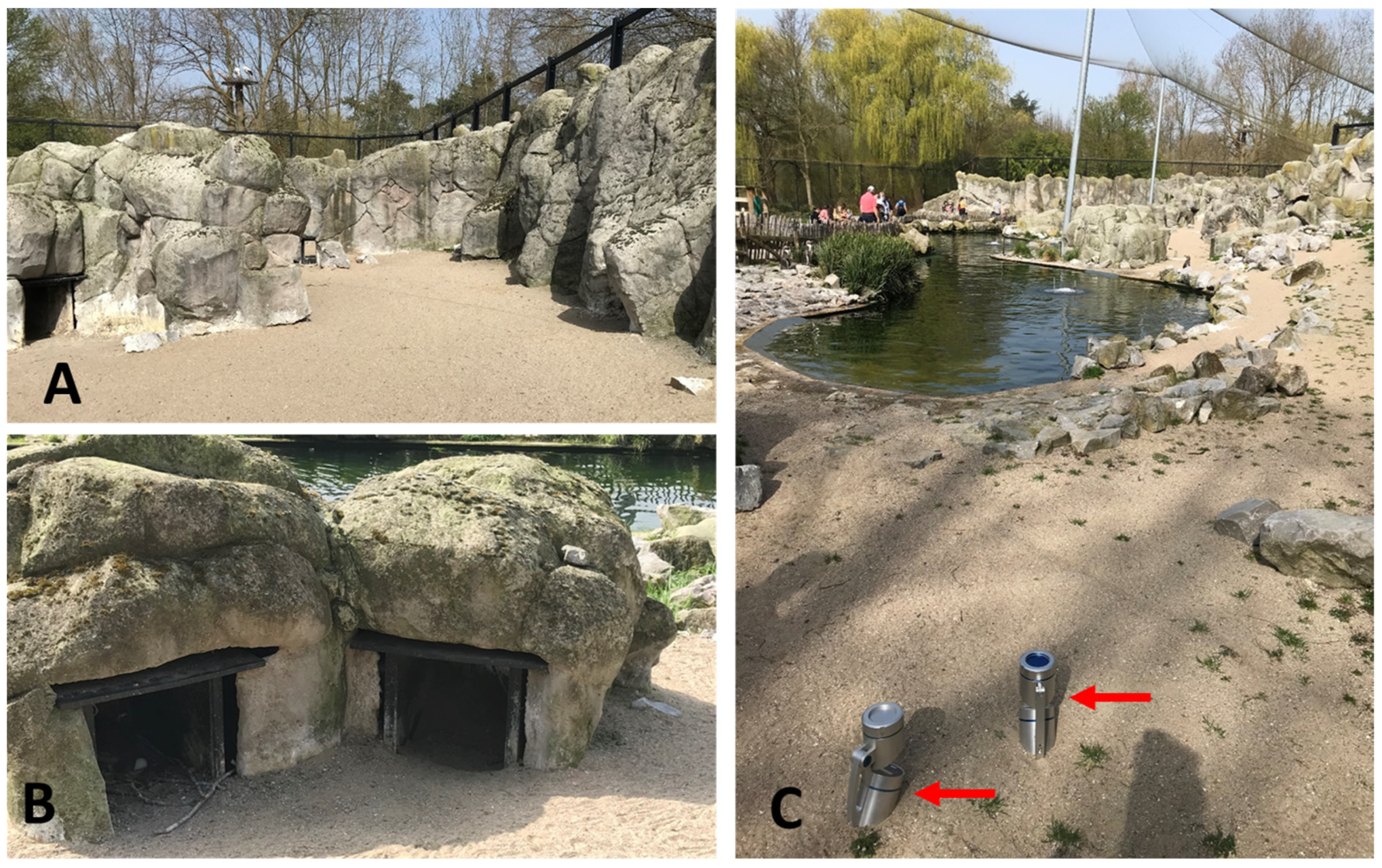 Antibiotics 12 00584 g004
