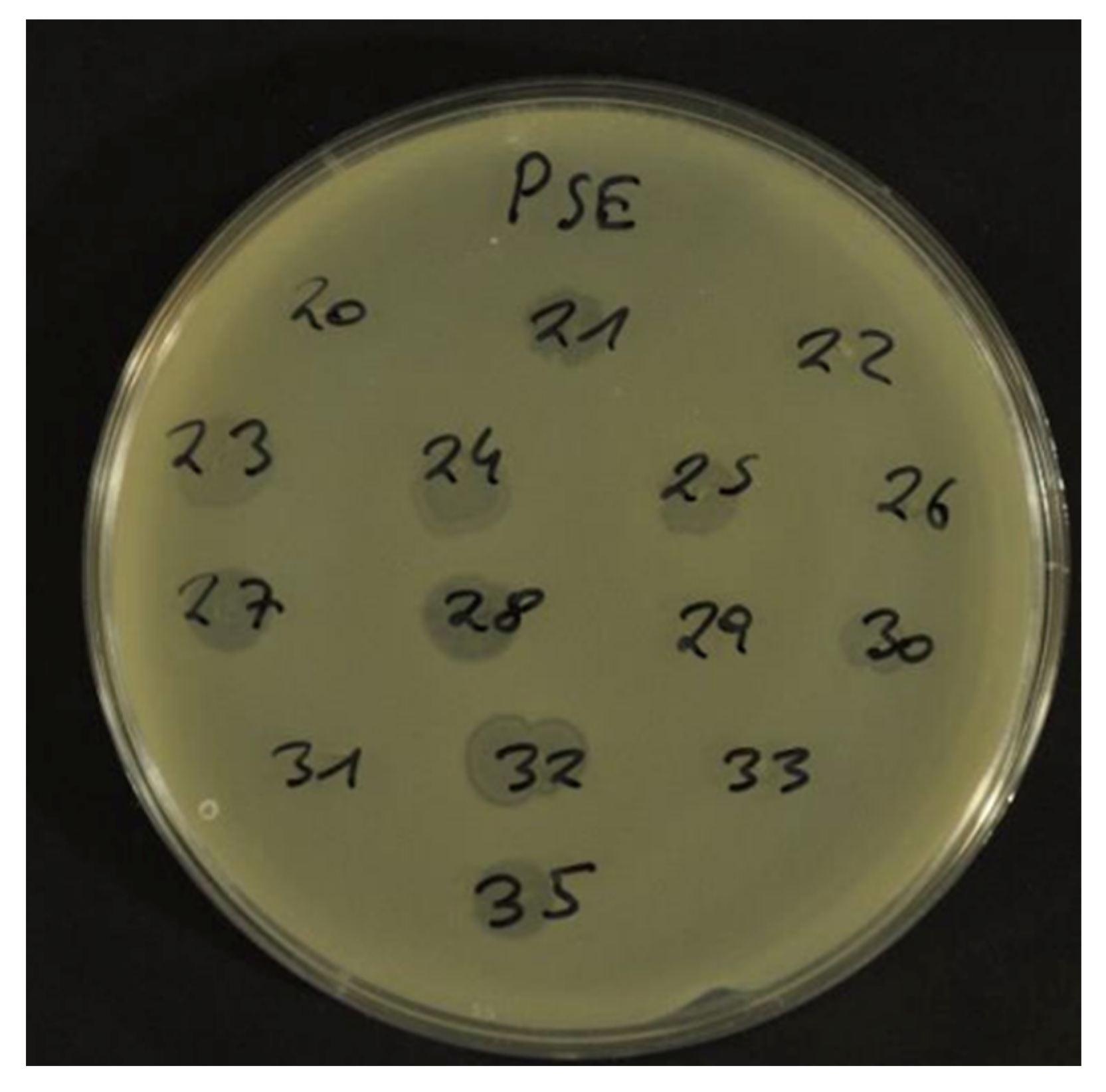 Antibiotics 12 00595 g002 Antibiotics 12 00595 g002
