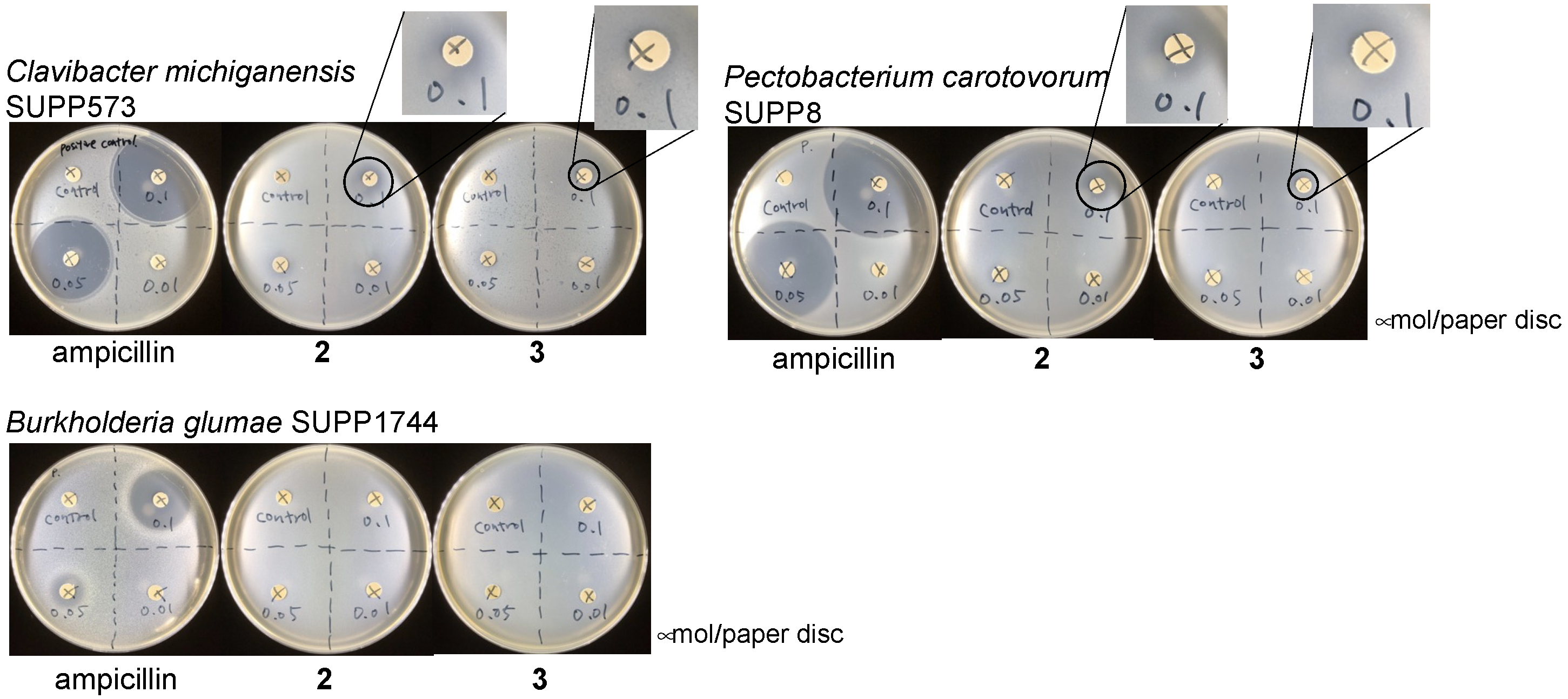Antibiotics 12 00596 g004 Antibiotics 12 00596 g004