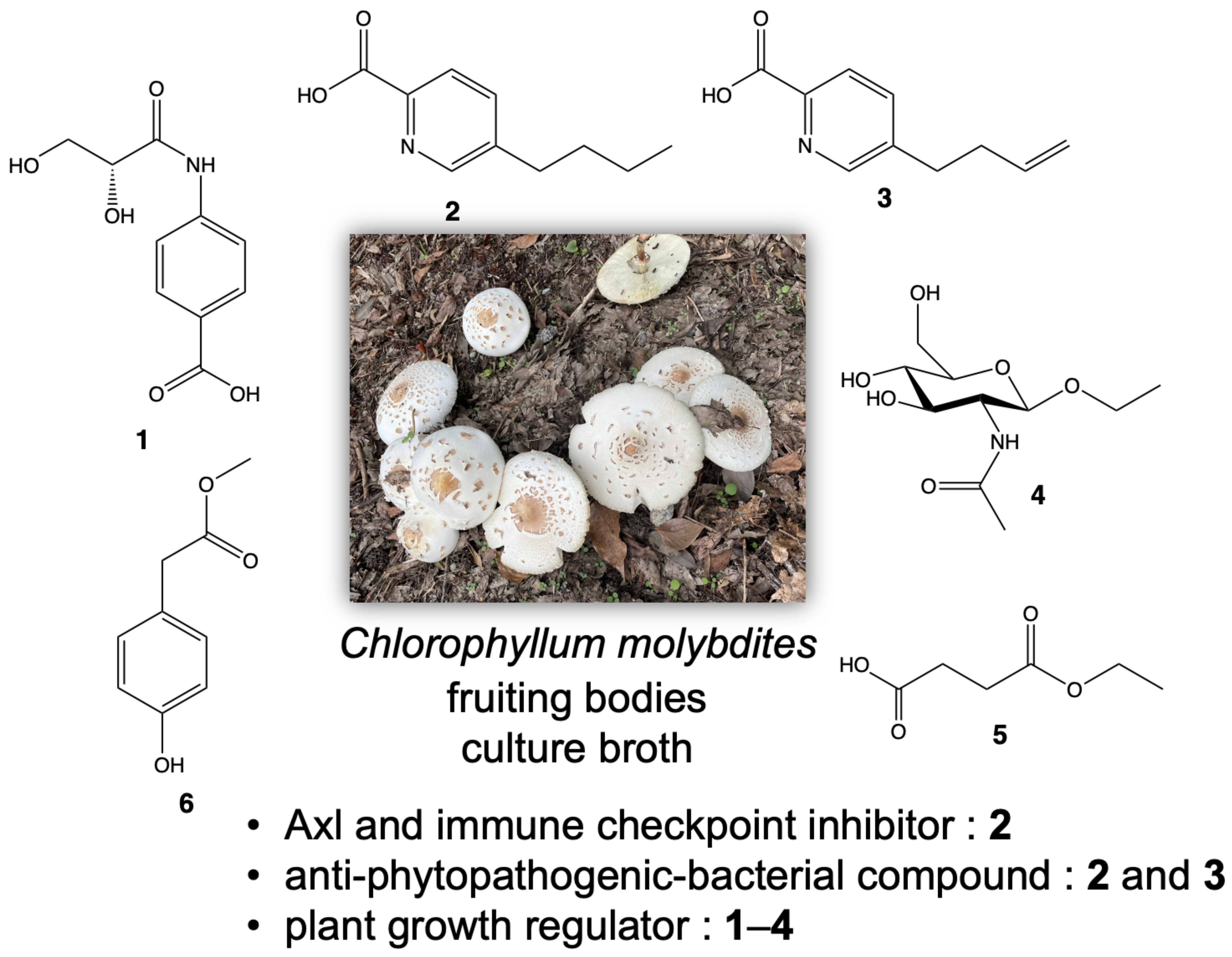 Antibiotics 12 00596 g006 Antibiotics 12 00596 g006