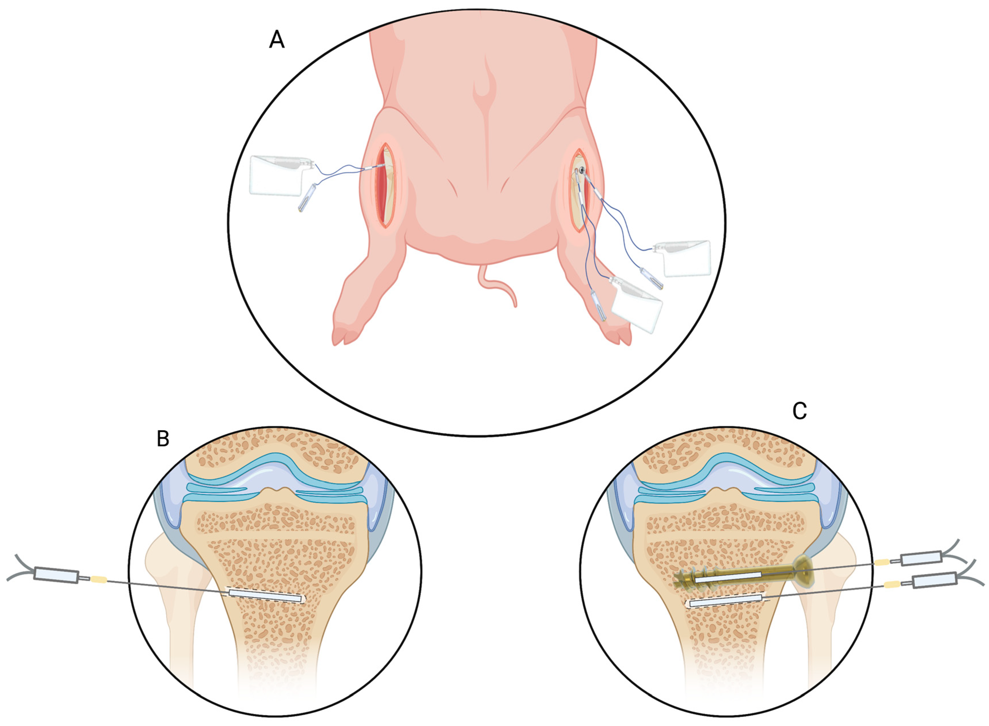 Antibiotics 12 00615 g002