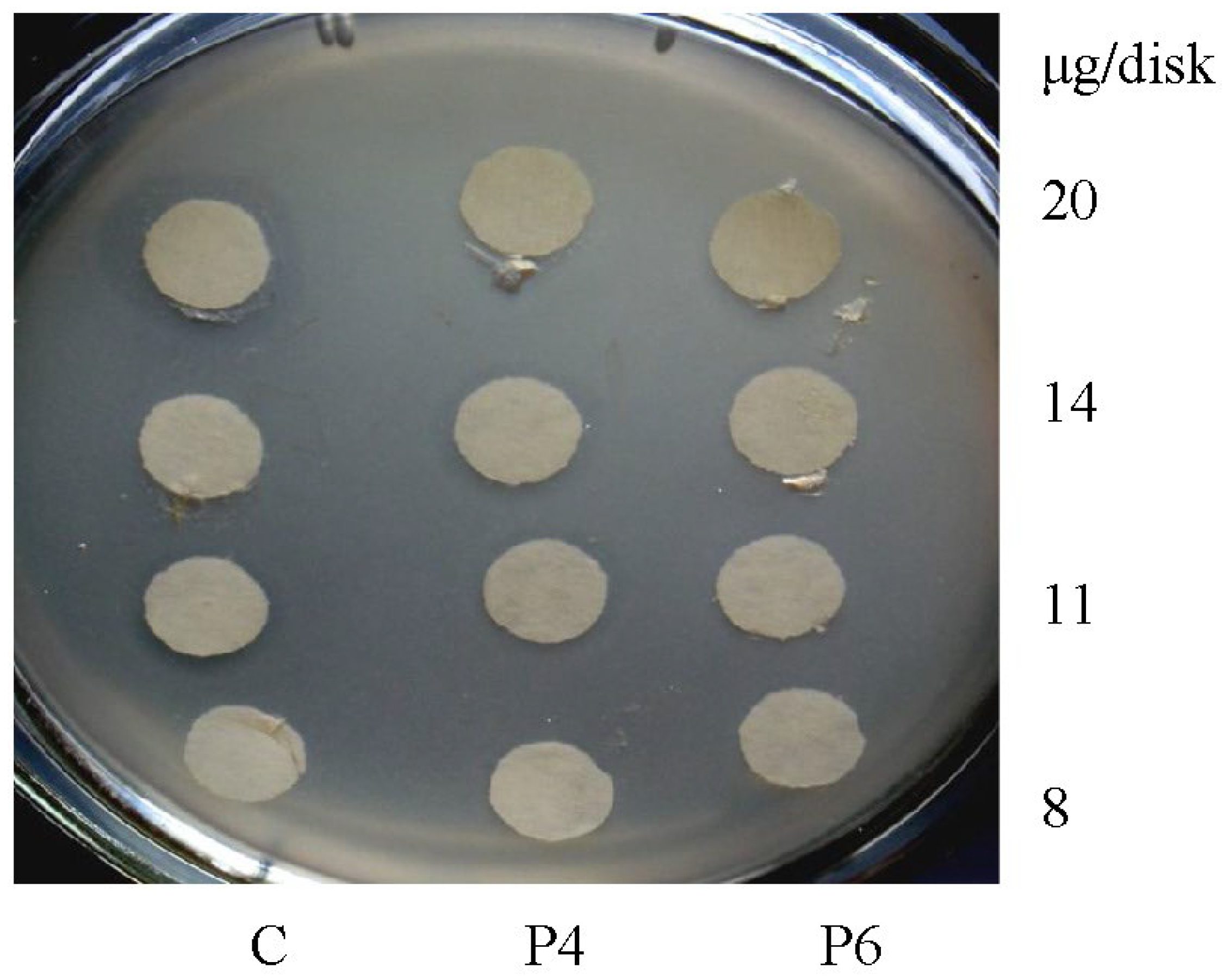 Antibiotics 12 00616 g011 Antibiotics 12 00616 g011
