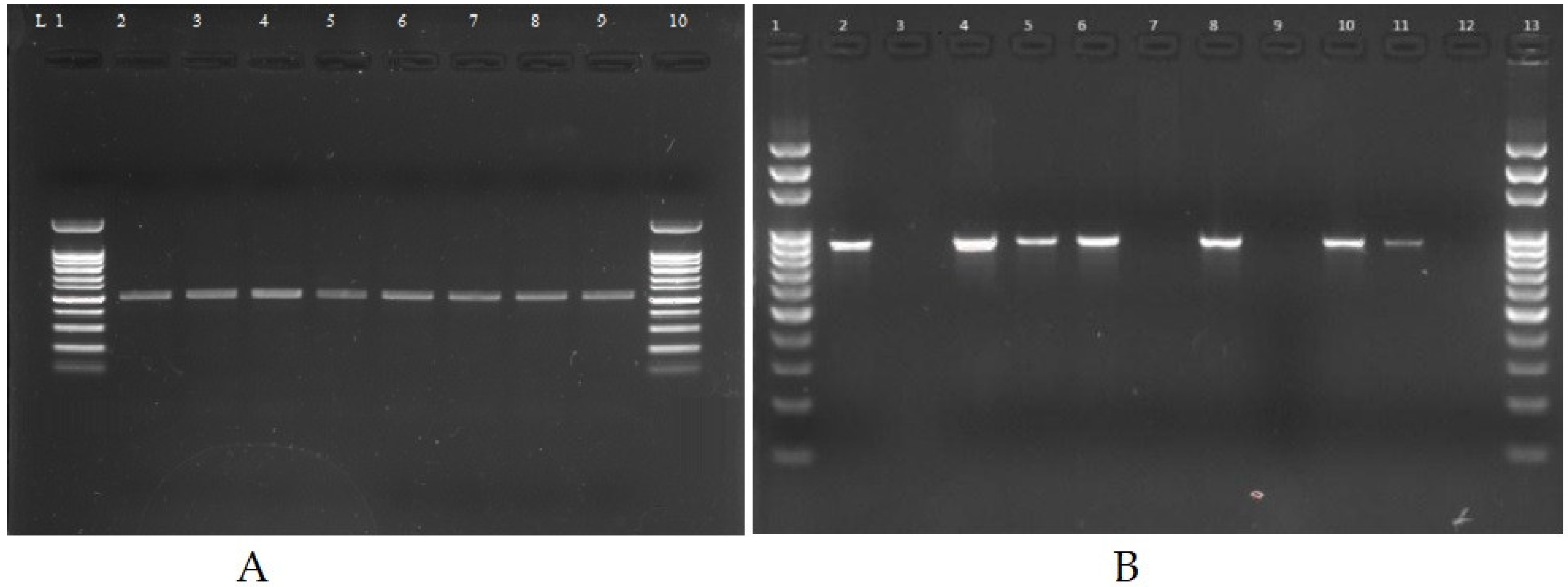 Antibiotics 12 00617 g001 Antibiotics 12 00617 g001