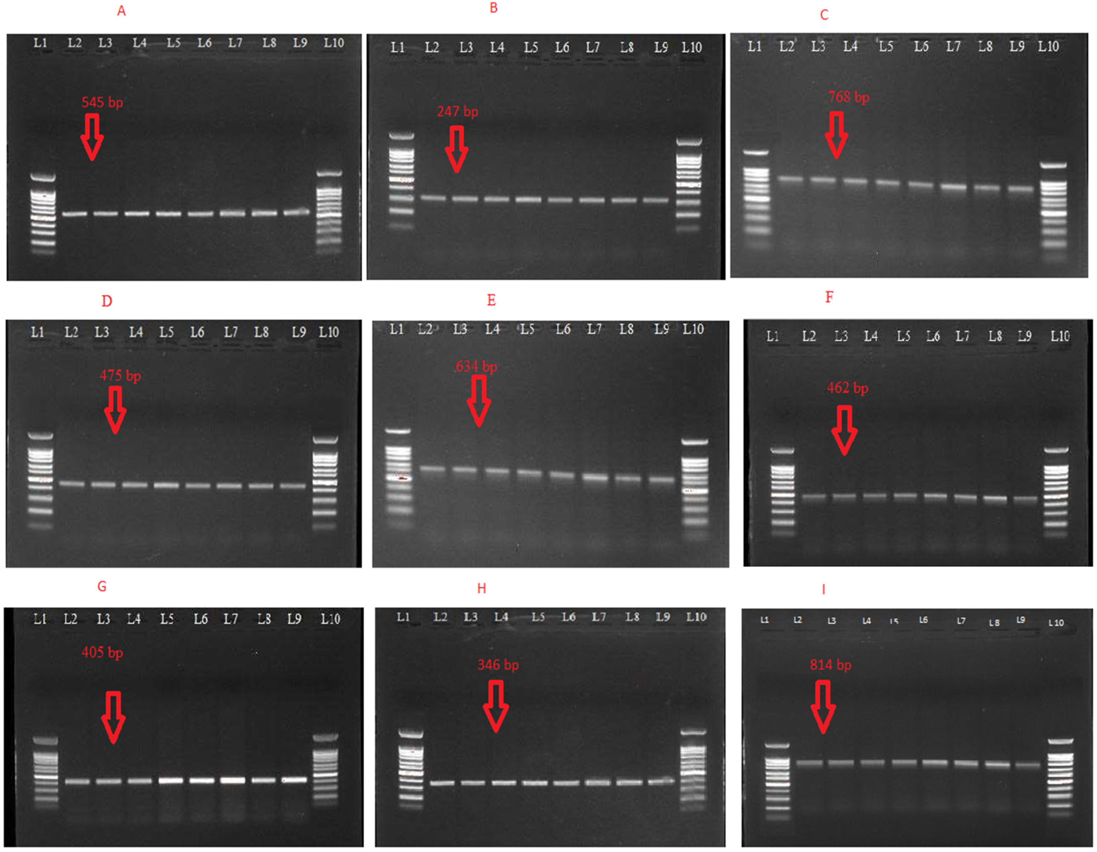 Antibiotics 12 00617 g002 Antibiotics 12 00617 g002