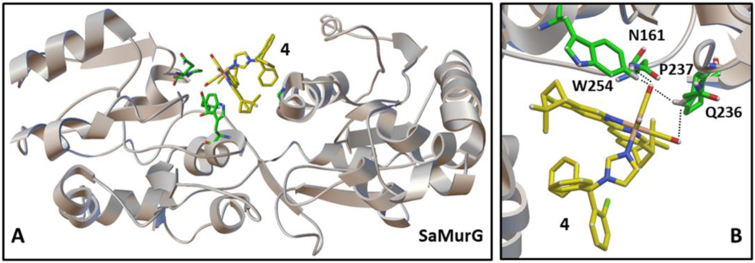 Antibiotics 12 00619 g006