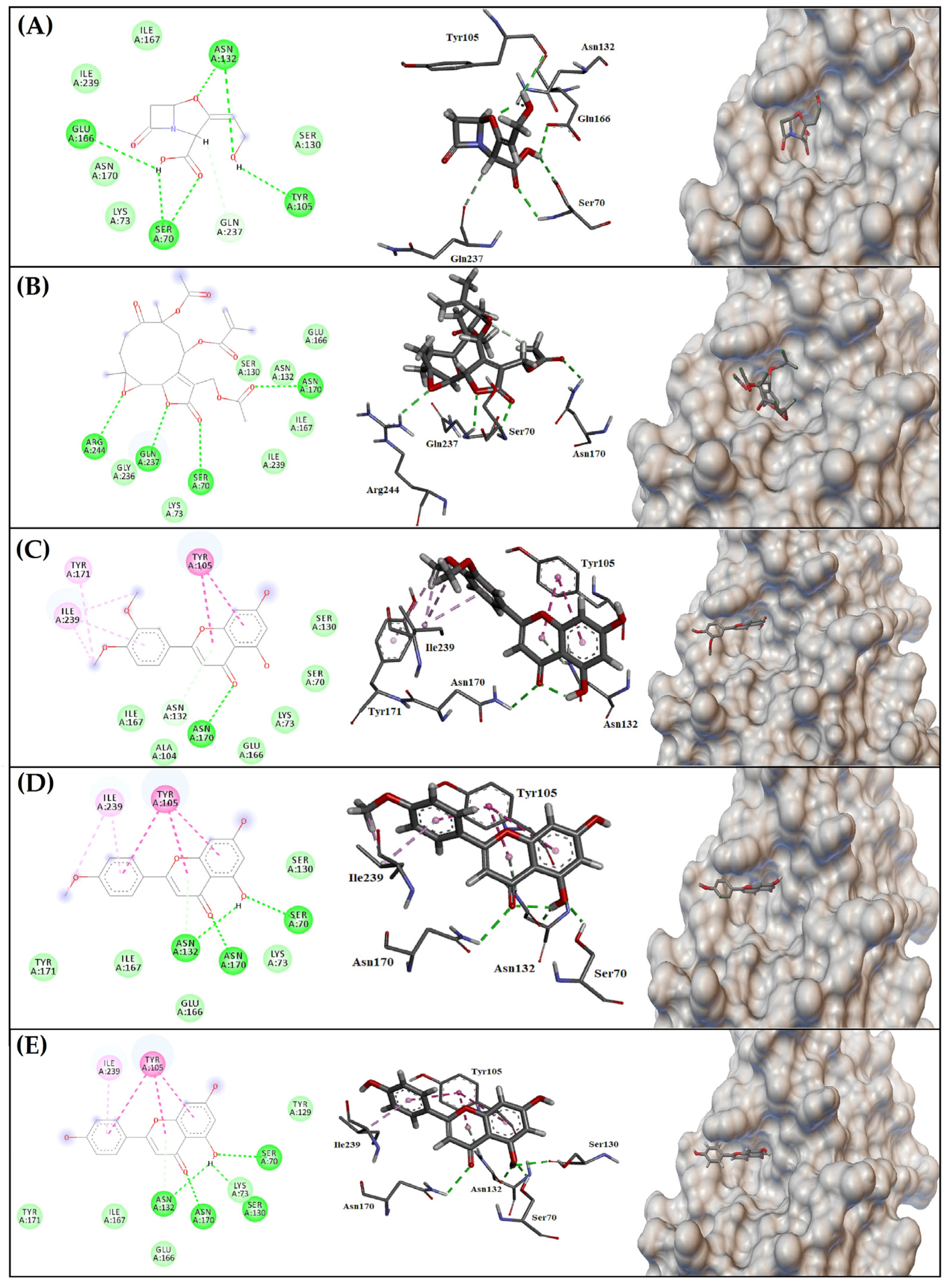 Antibiotics 12 00622 g005 Antibiotics 12 00622 g005
