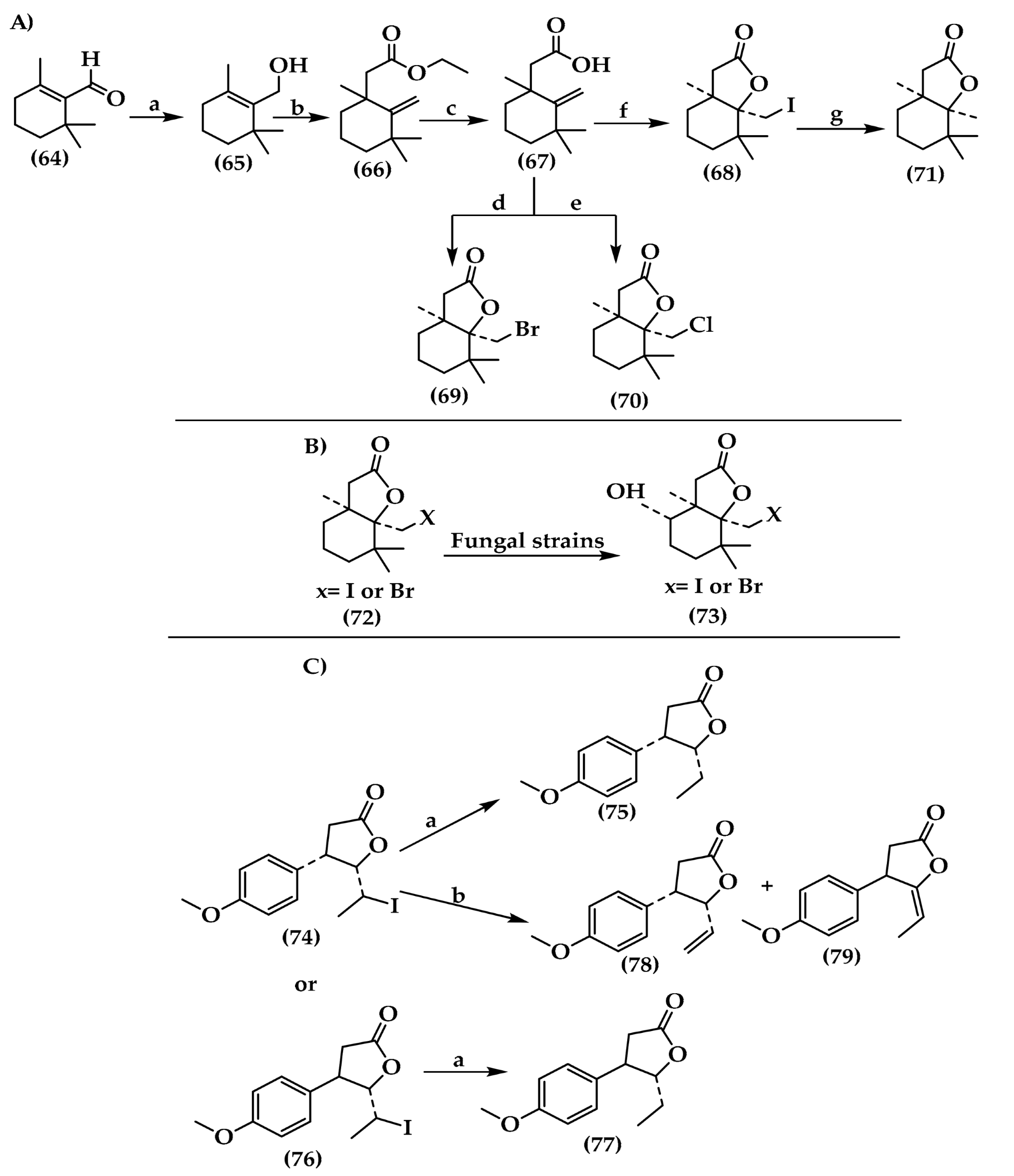 Antibiotics 12 00628 sch001 Antibiotics 12 00628 sch001