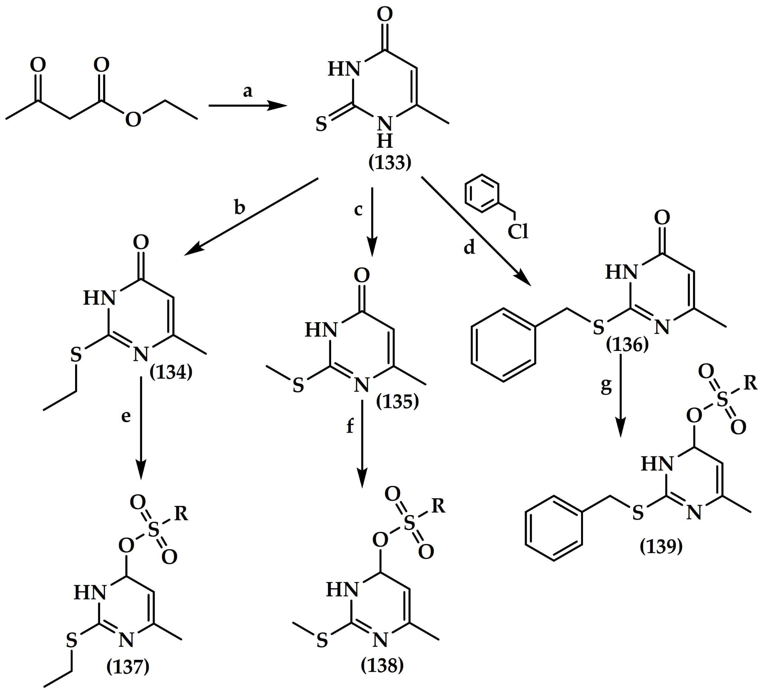 Antibiotics 12 00628 sch011 Antibiotics 12 00628 sch011