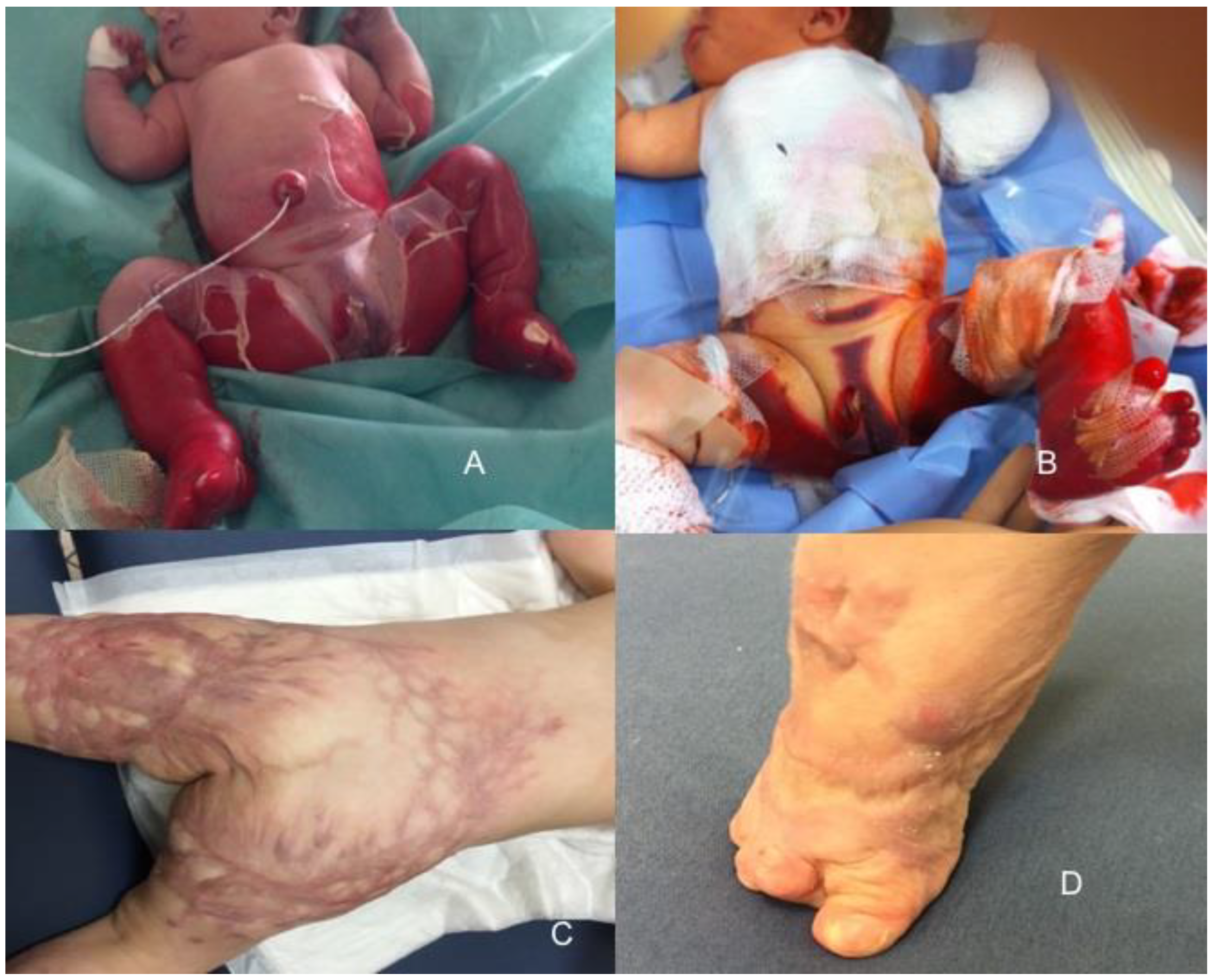 Antibiotics 12 00632 g004