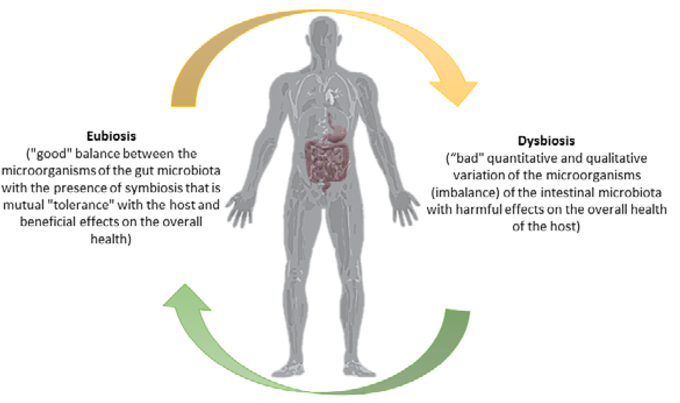 Antibiotics 12 00635 g001 Antibiotics 12 00635 g001