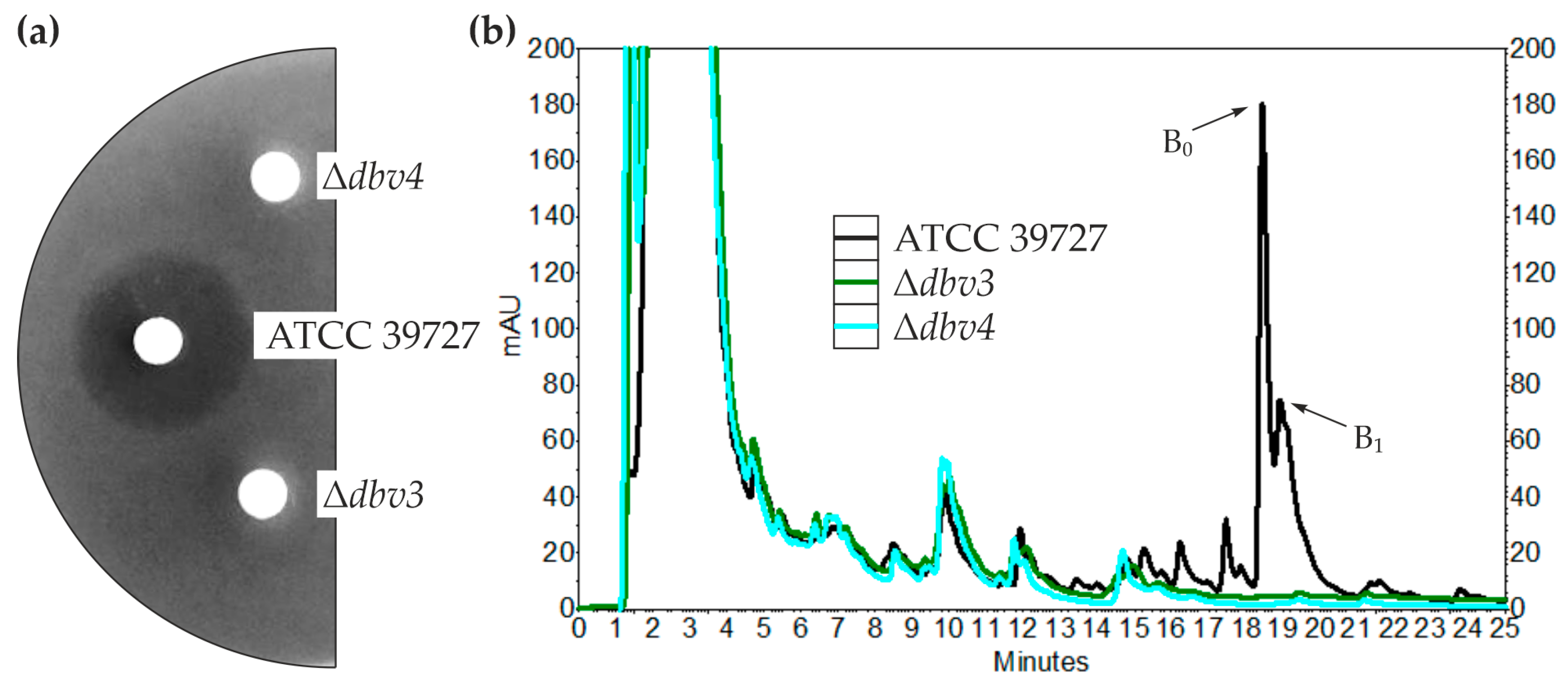 Antibiotics 12 00641 g001