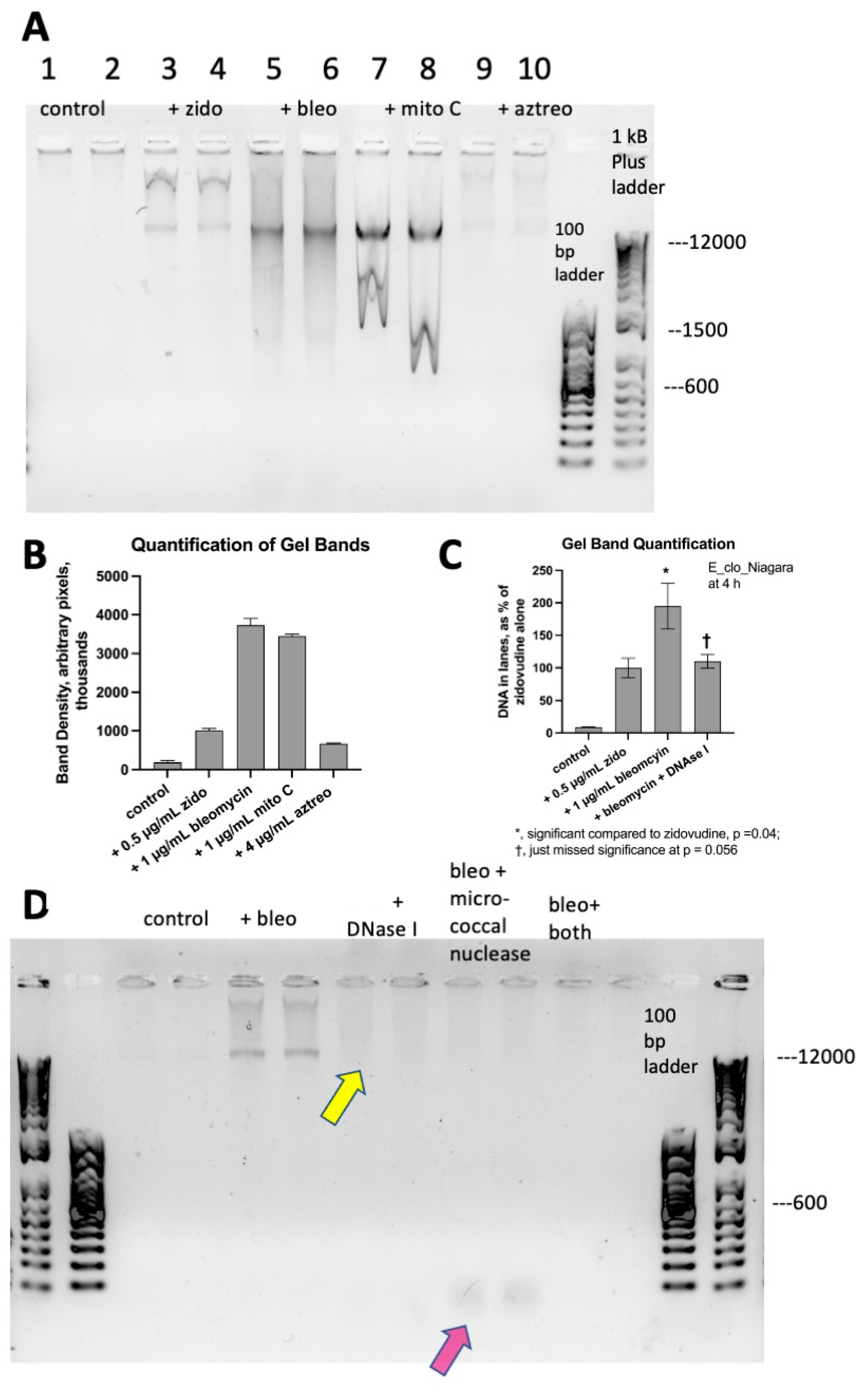 Antibiotics 12 00649 g003