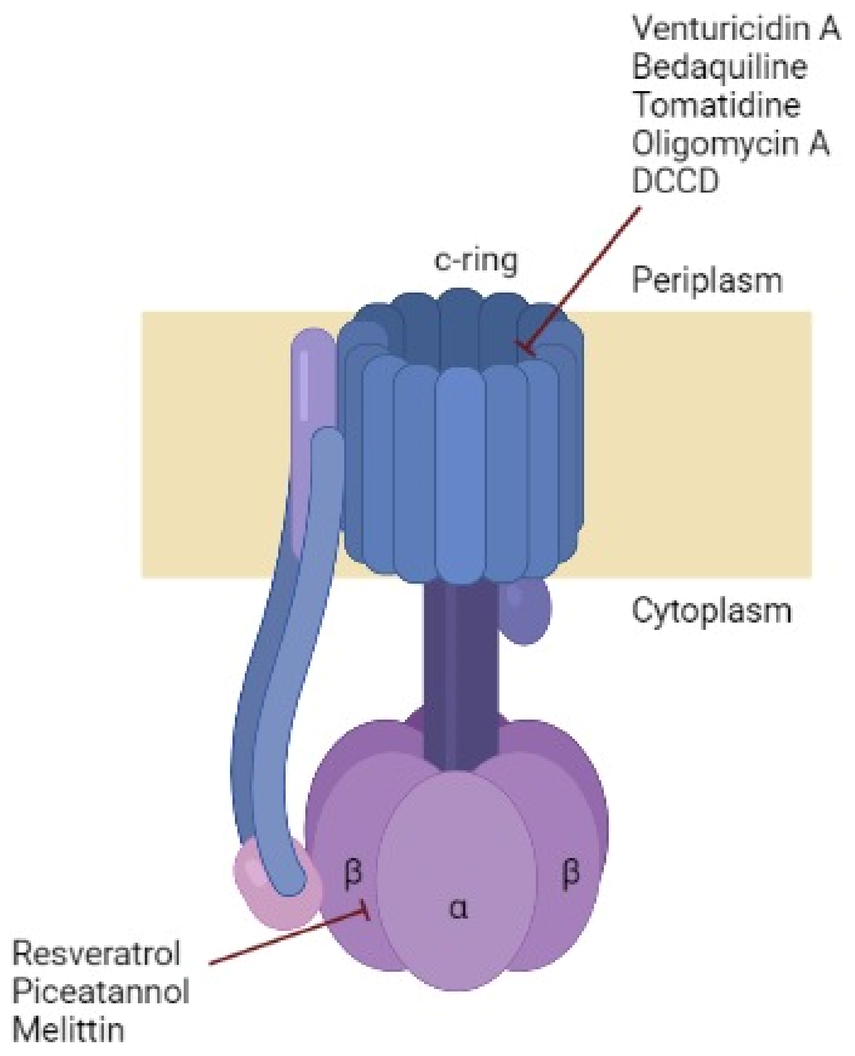 Antibiotics 12 00650 g004 Antibiotics 12 00650 g004