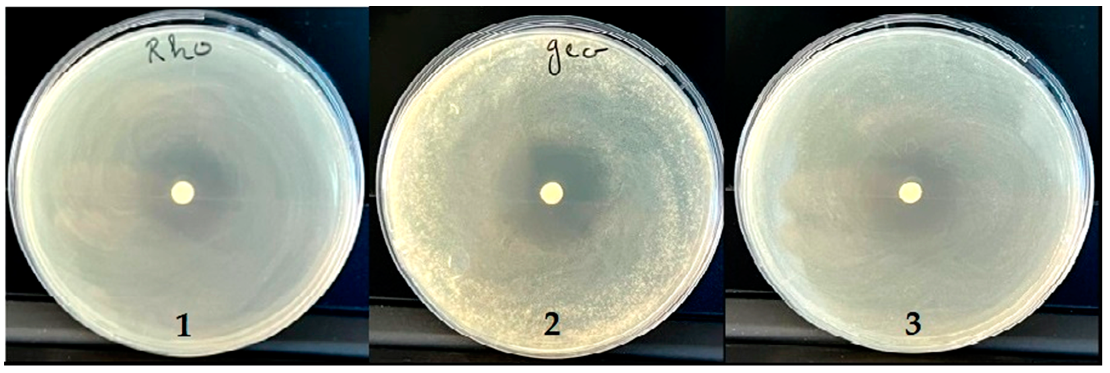 Antibiotics 12 00655 g006