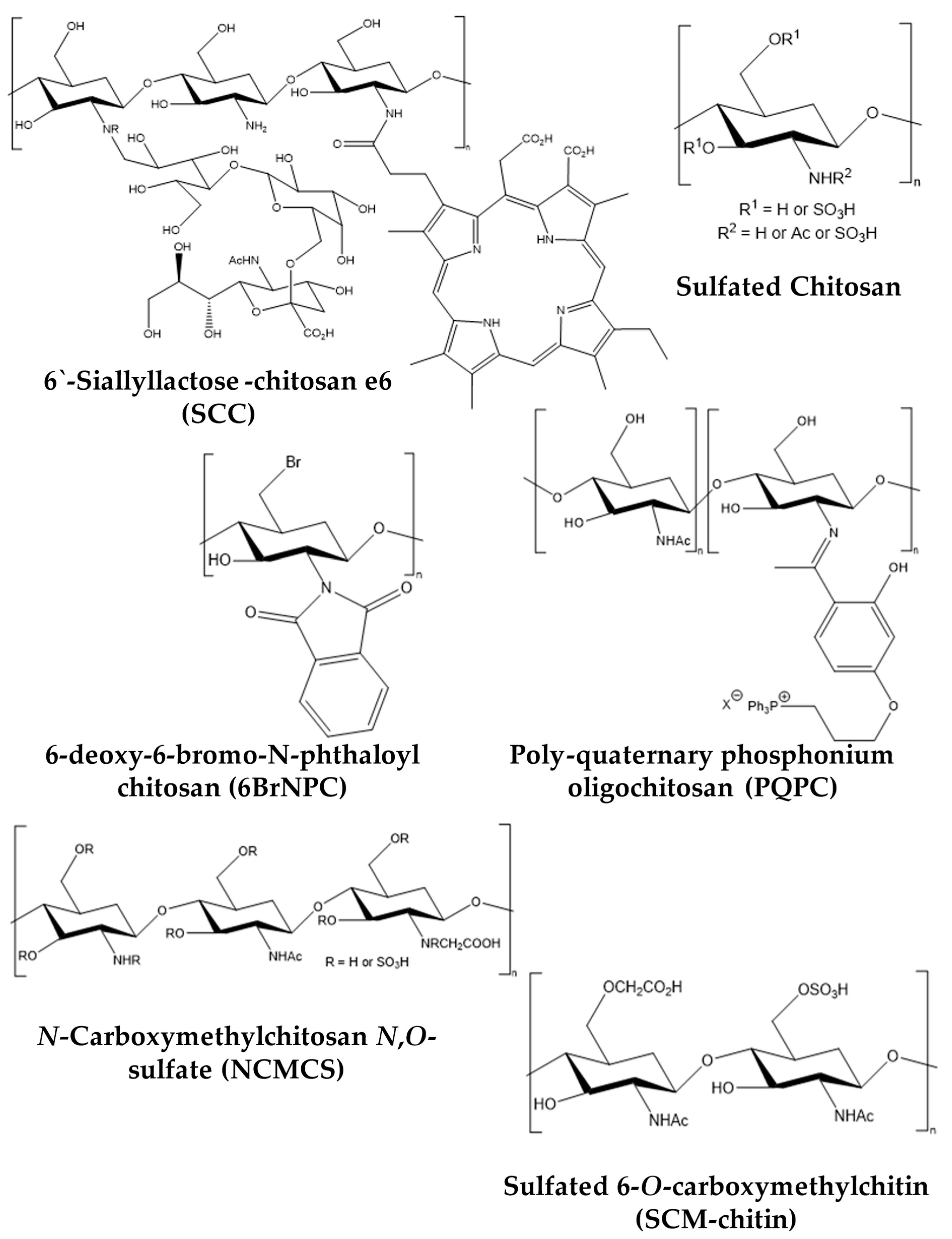 Antibiotics 12 00665 g001b Antibiotics 12 00665 g001b