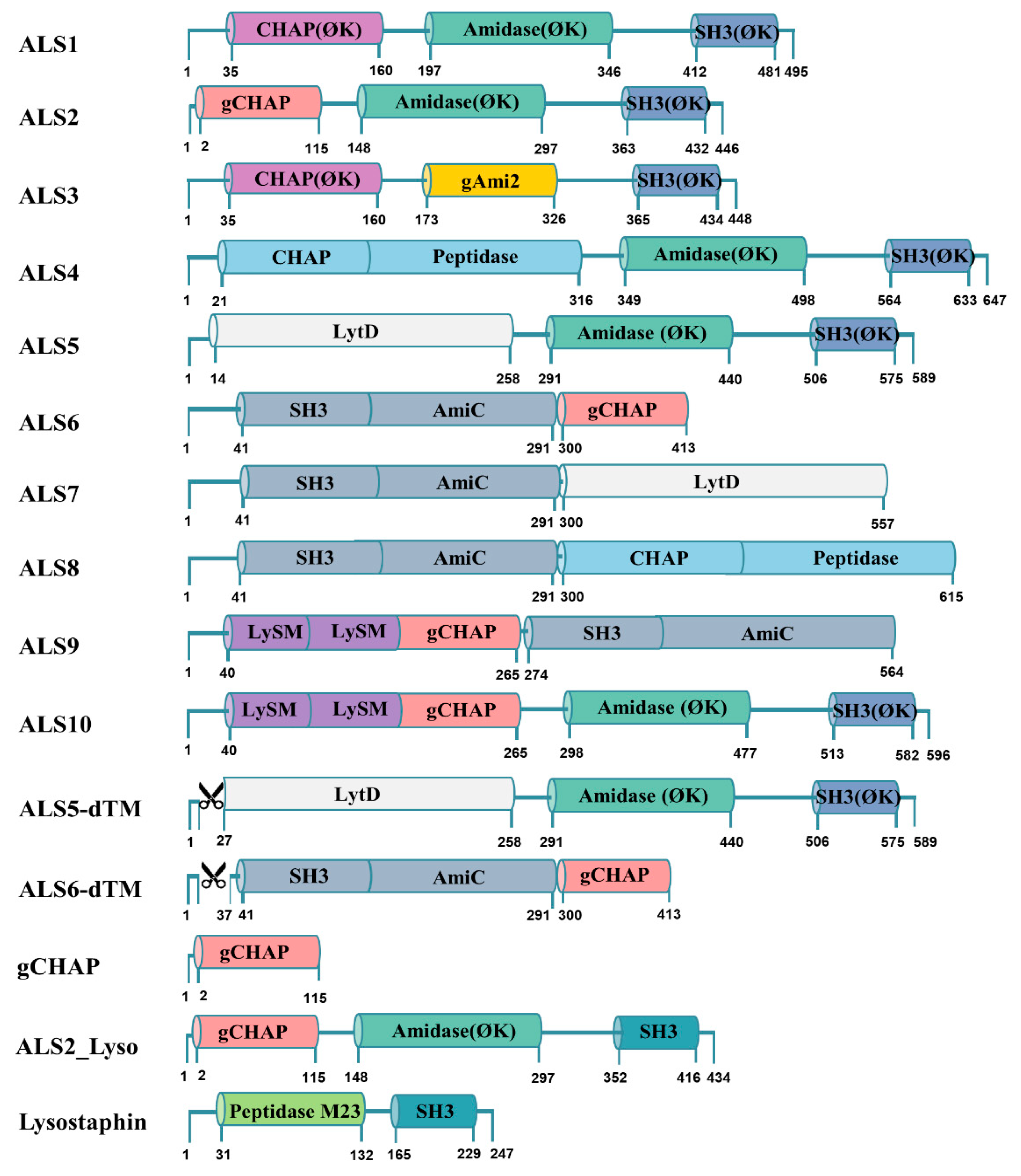 Antibiotics 12 00667 g001