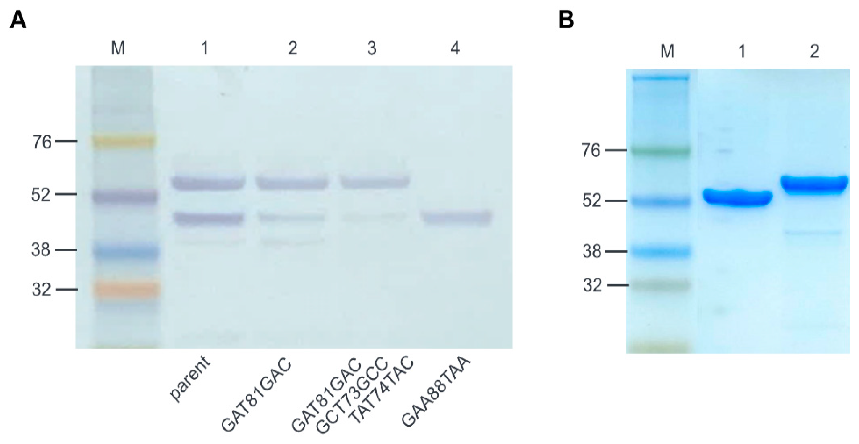 Antibiotics 12 00667 g004