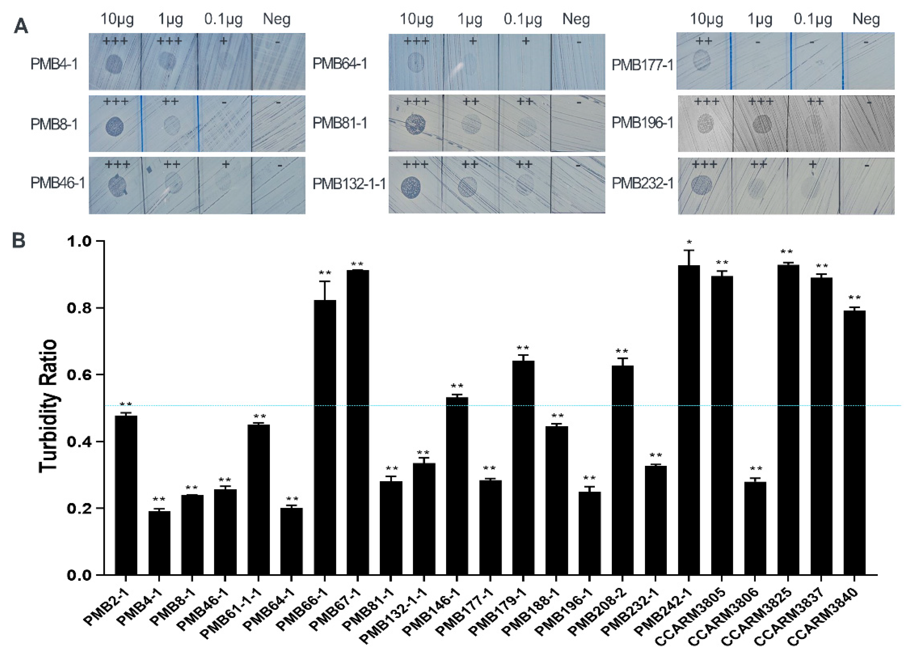 Antibiotics 12 00667 g005