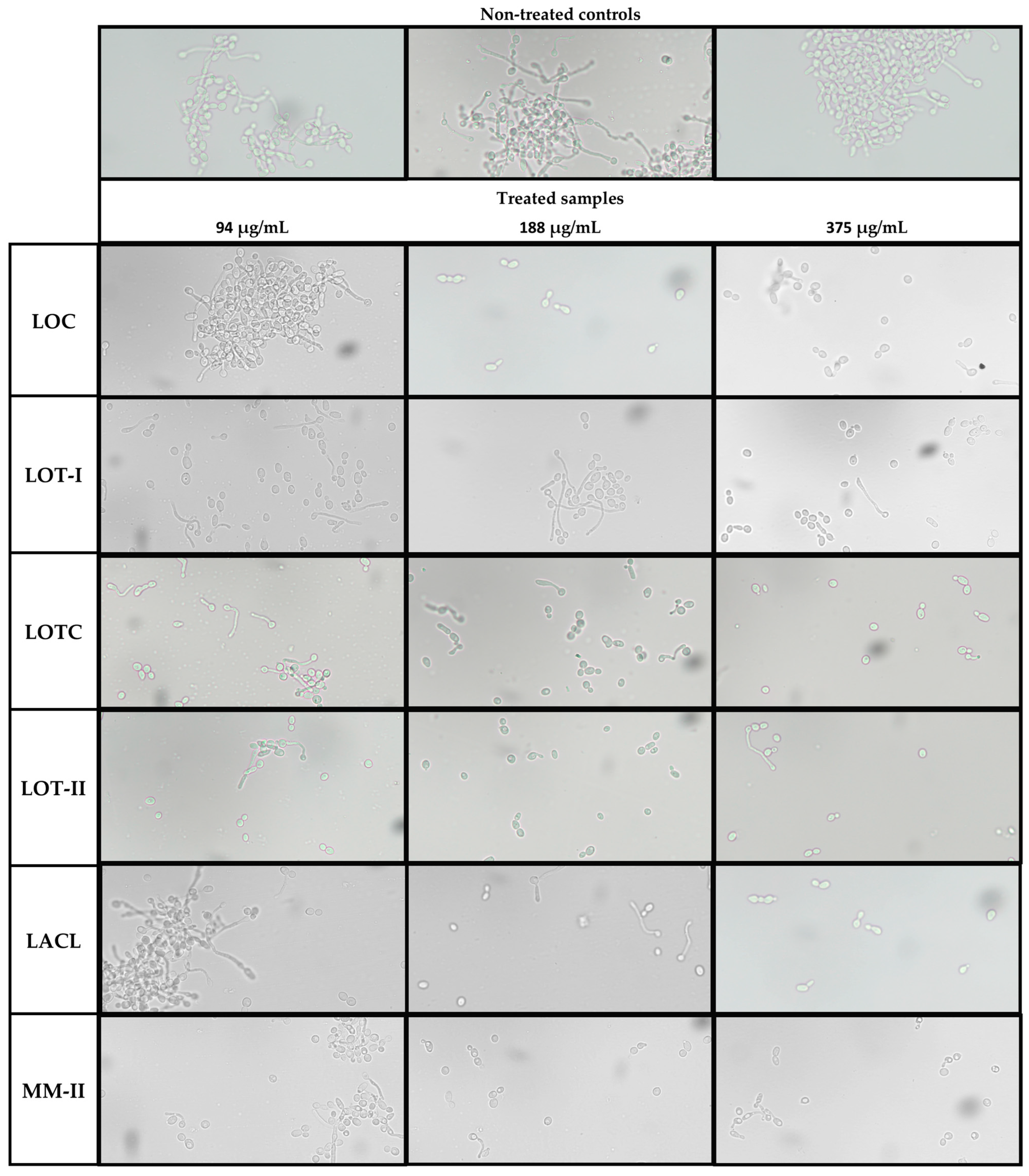 Antibiotics 12 00668 g004 Antibiotics 12 00668 g004