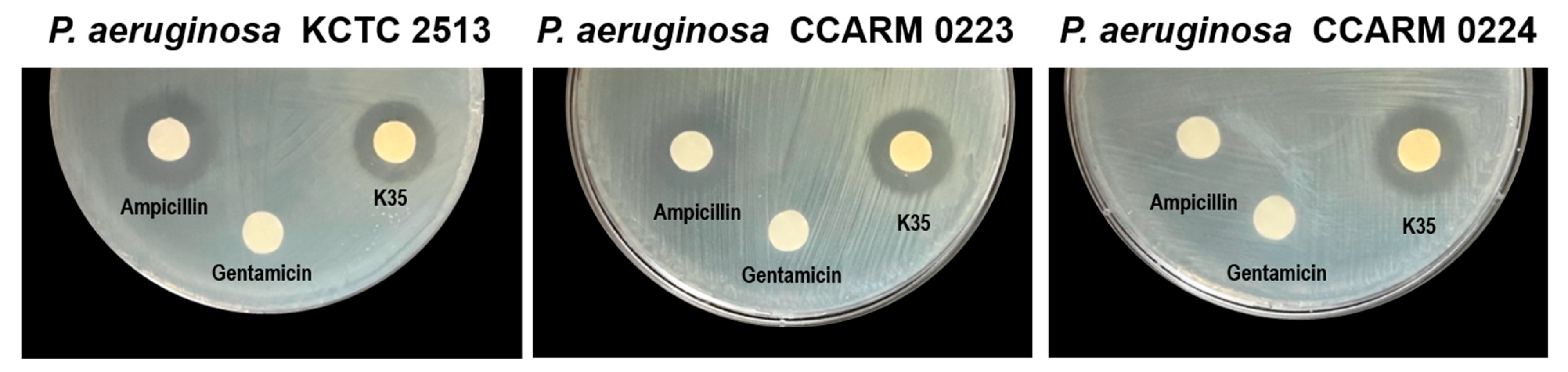 Antibiotics 12 00676 g002
