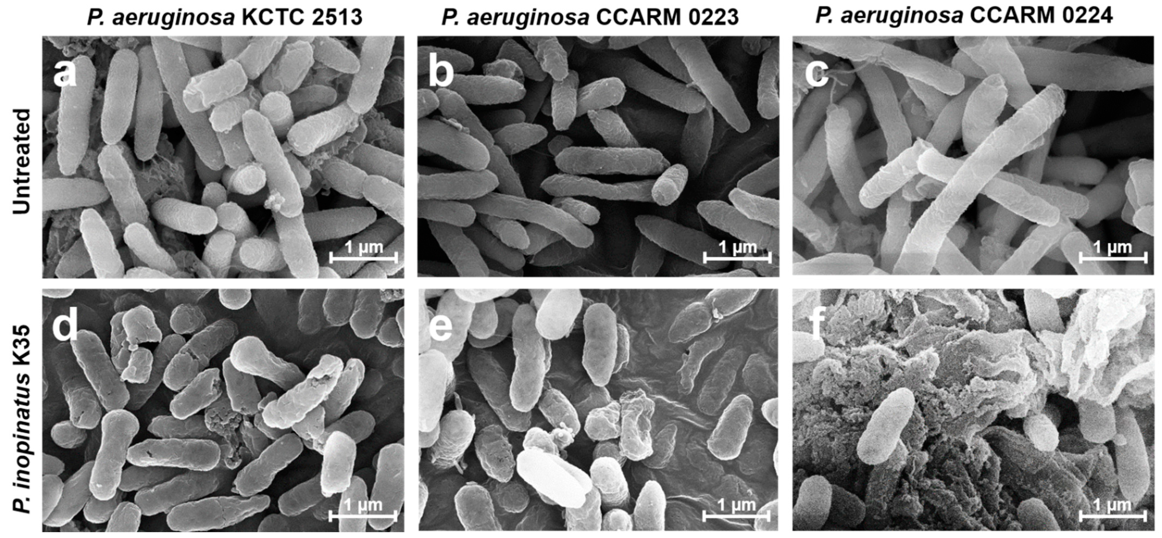 Antibiotics 12 00676 g005