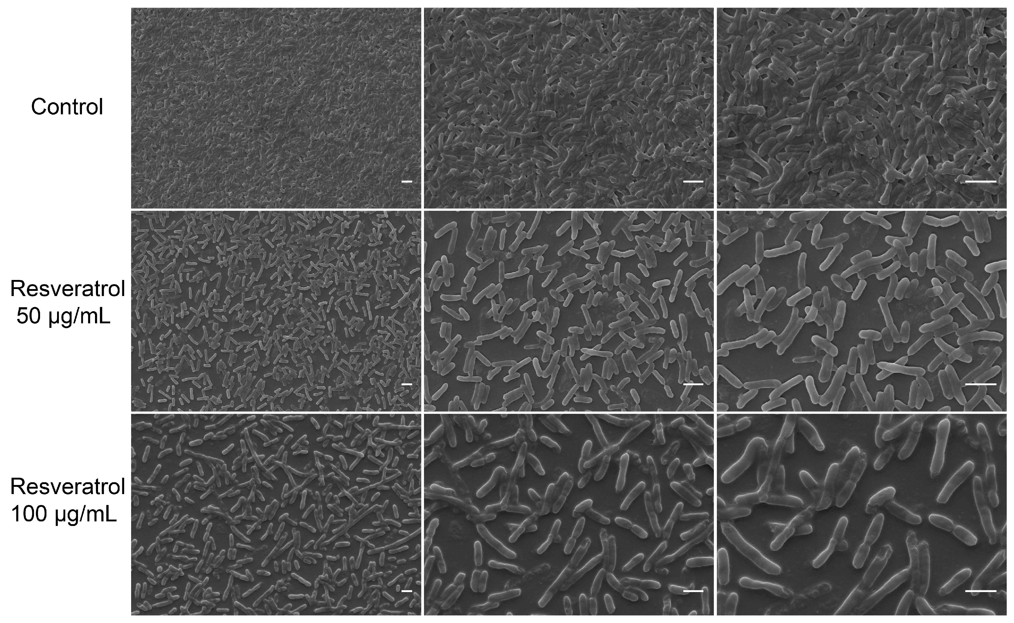 Antibiotics 12 00686 g002