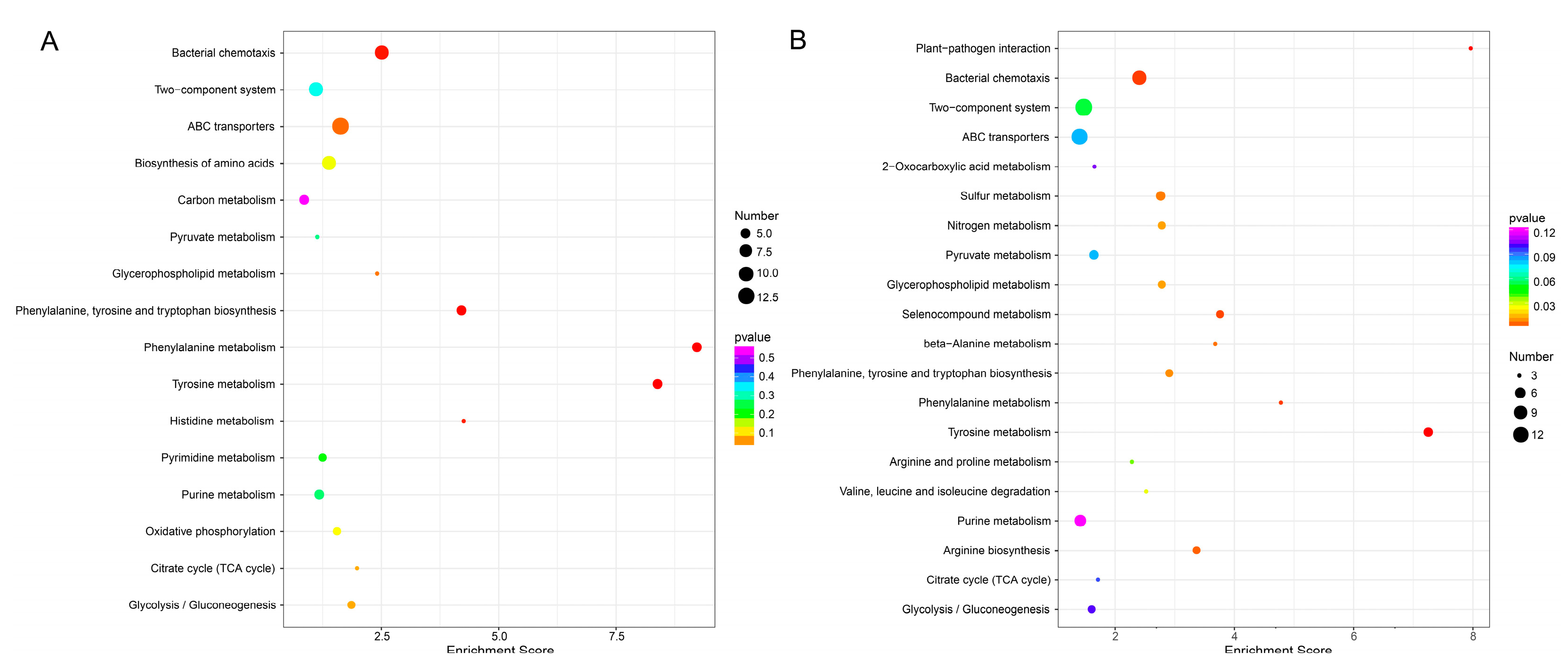 Antibiotics Free FullText In Vitro Antibiofilm Activity of