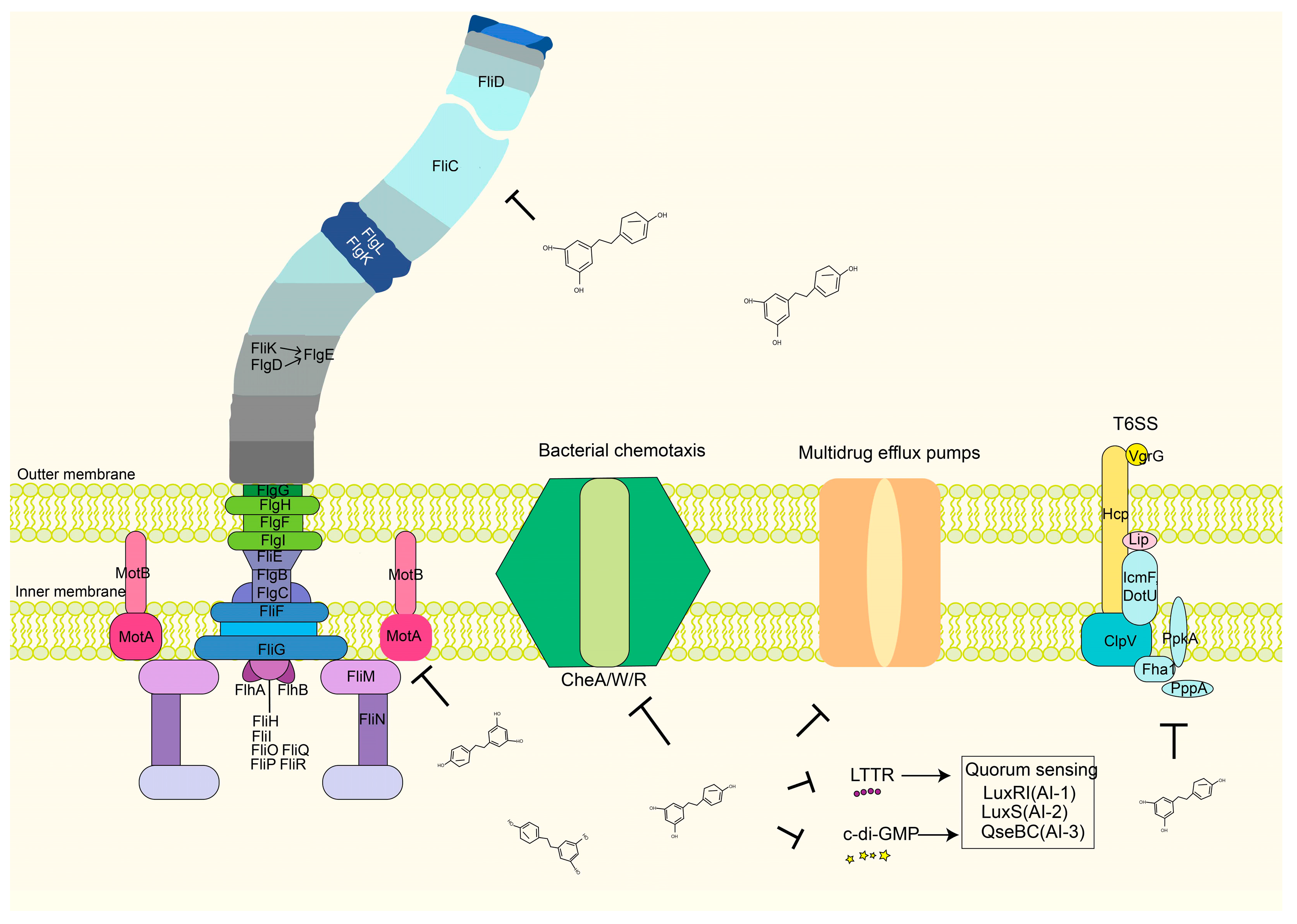Antibiotics 12 00686 g009