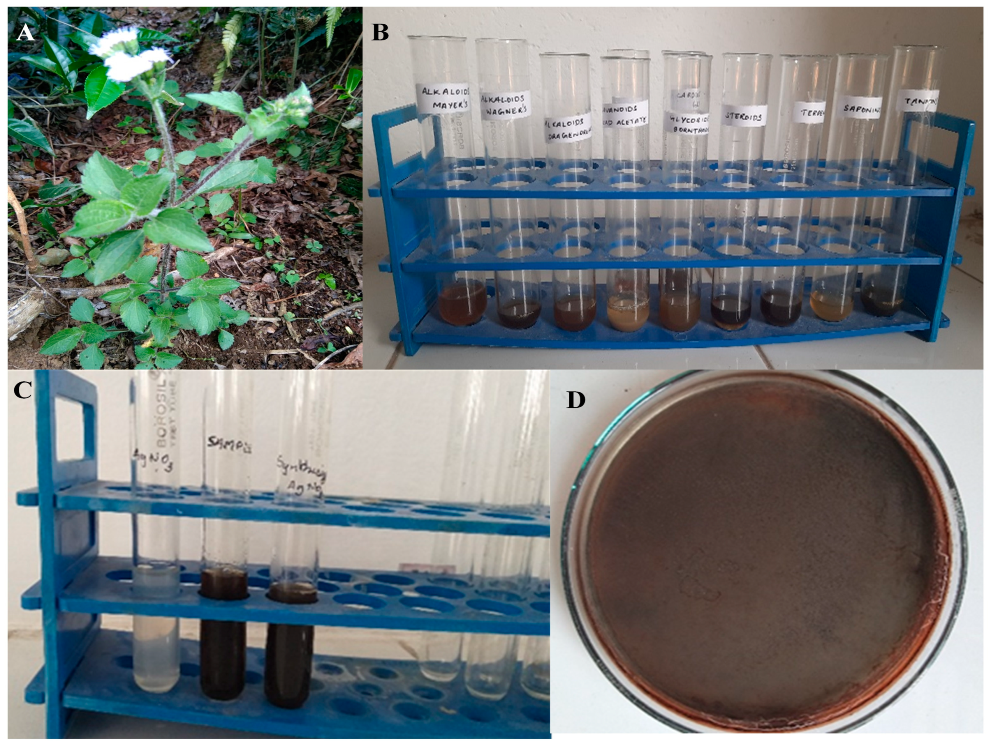 Antibiotics 12 00688 g001 Antibiotics 12 00688 g001
