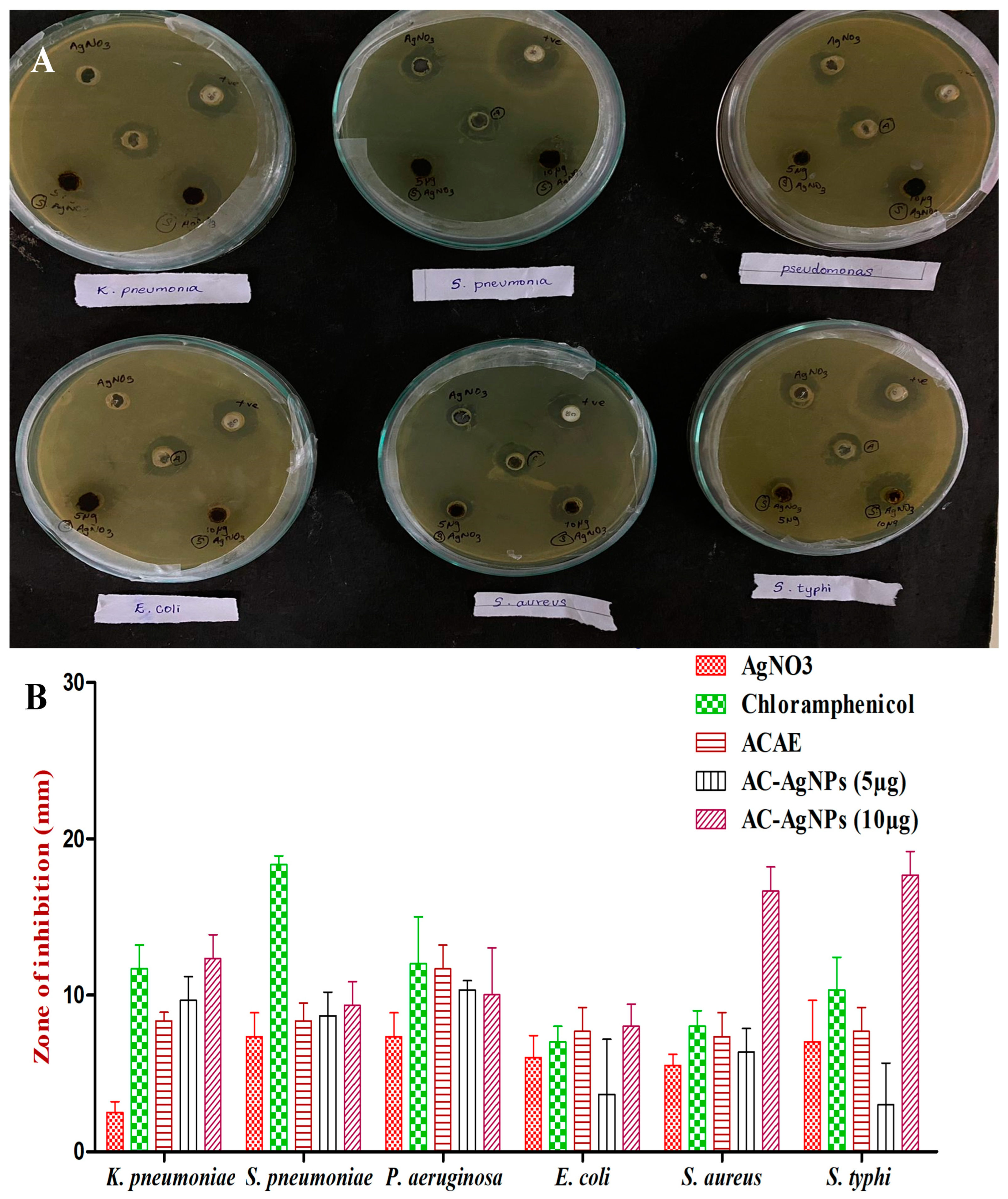 Antibiotics 12 00688 g010 Antibiotics 12 00688 g010
