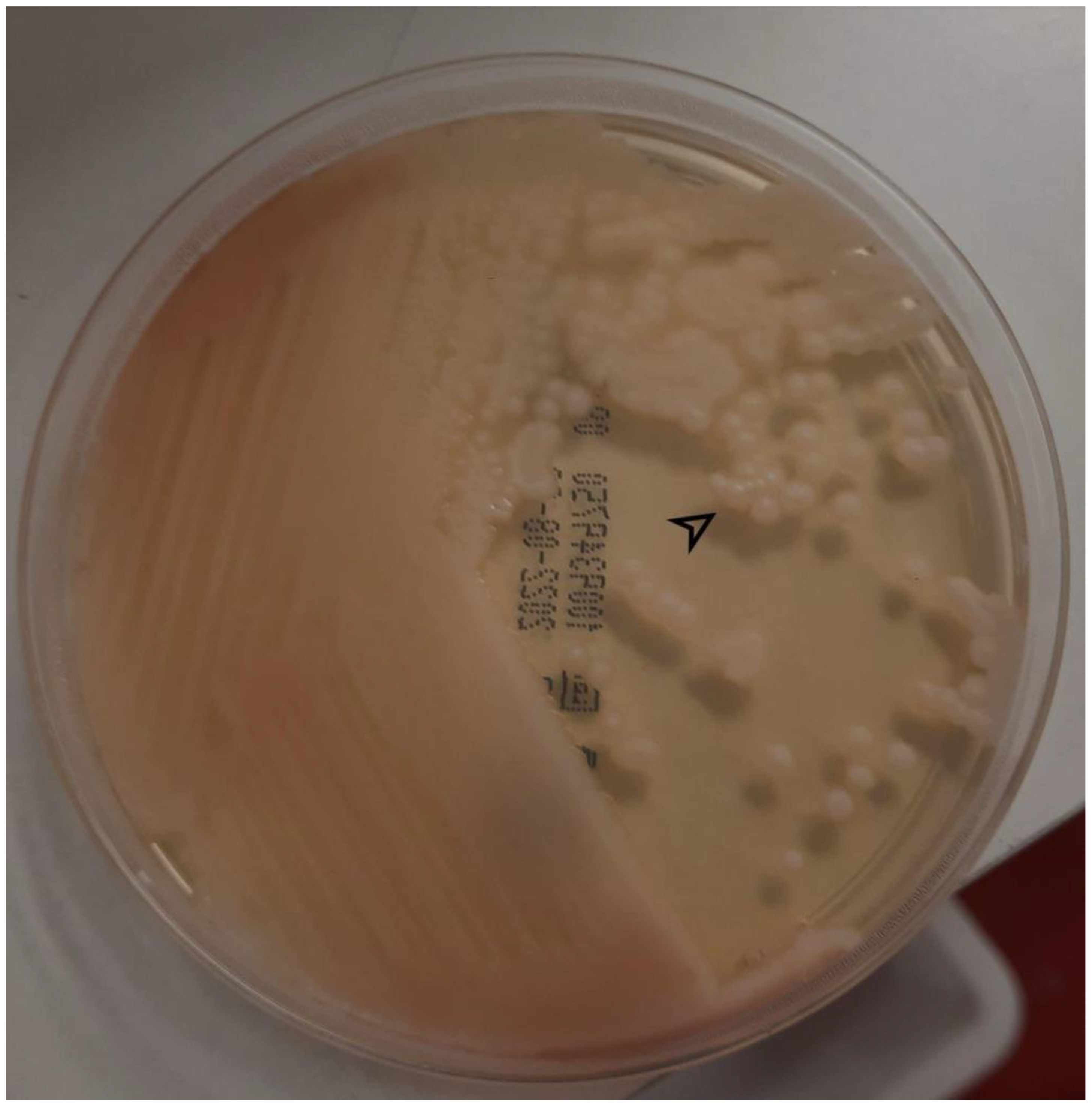 Antibiotics 12 00691 g001