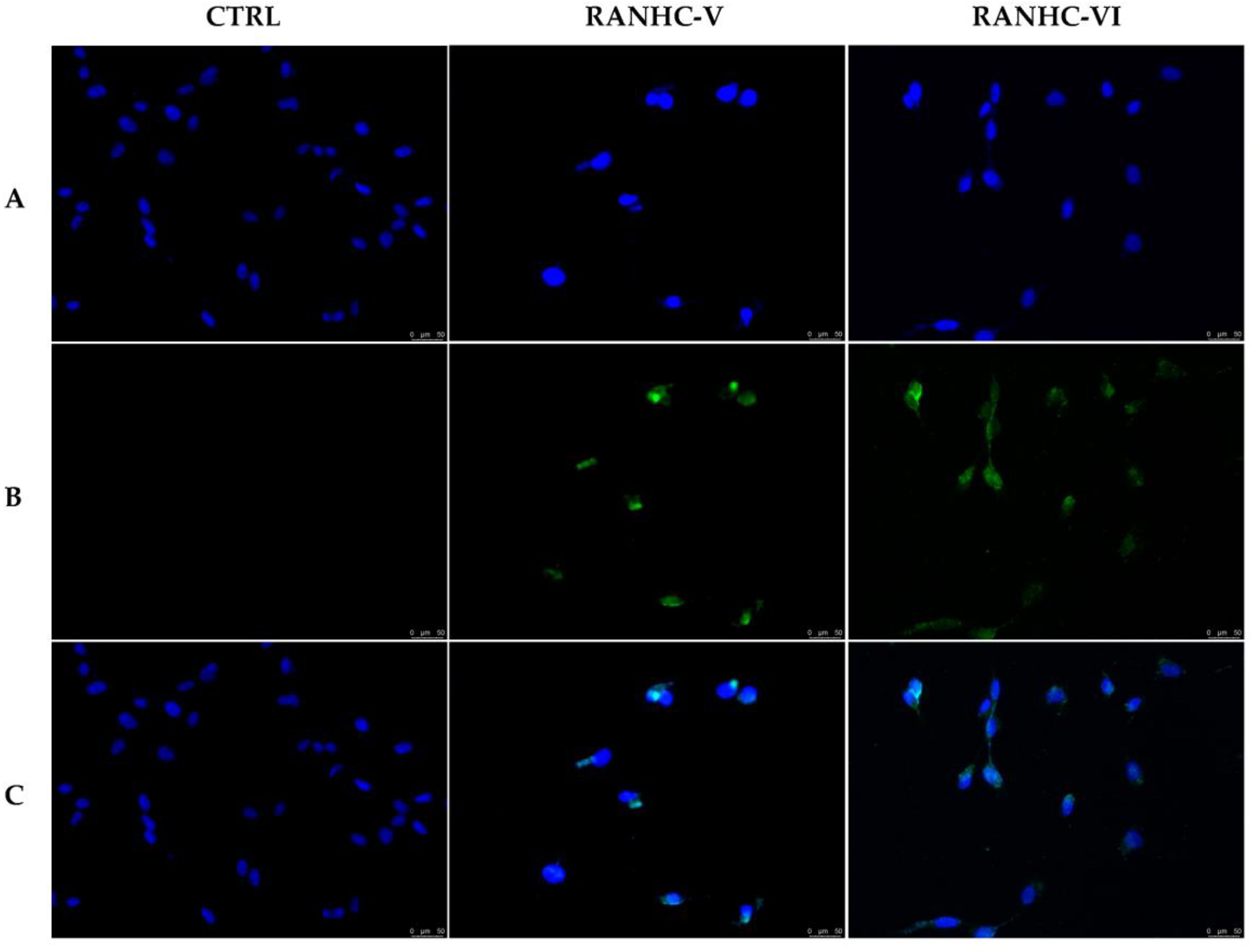 Antibiotics 12 00693 g005