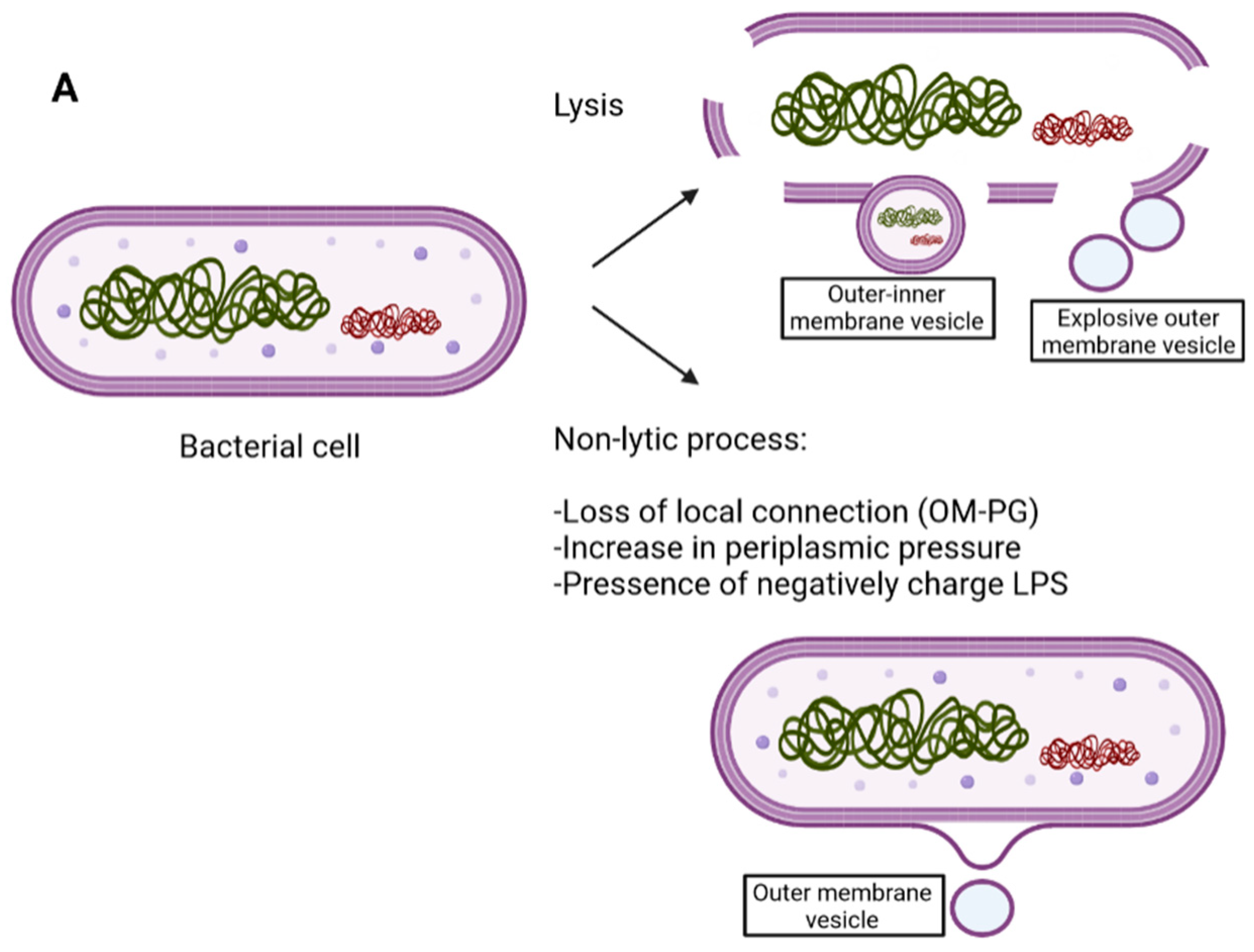 Antibiotics 12 00703 g001a Antibiotics 12 00703 g001a
