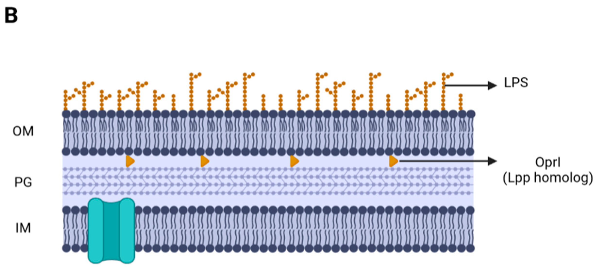 Antibiotics 12 00703 g001b Antibiotics 12 00703 g001b