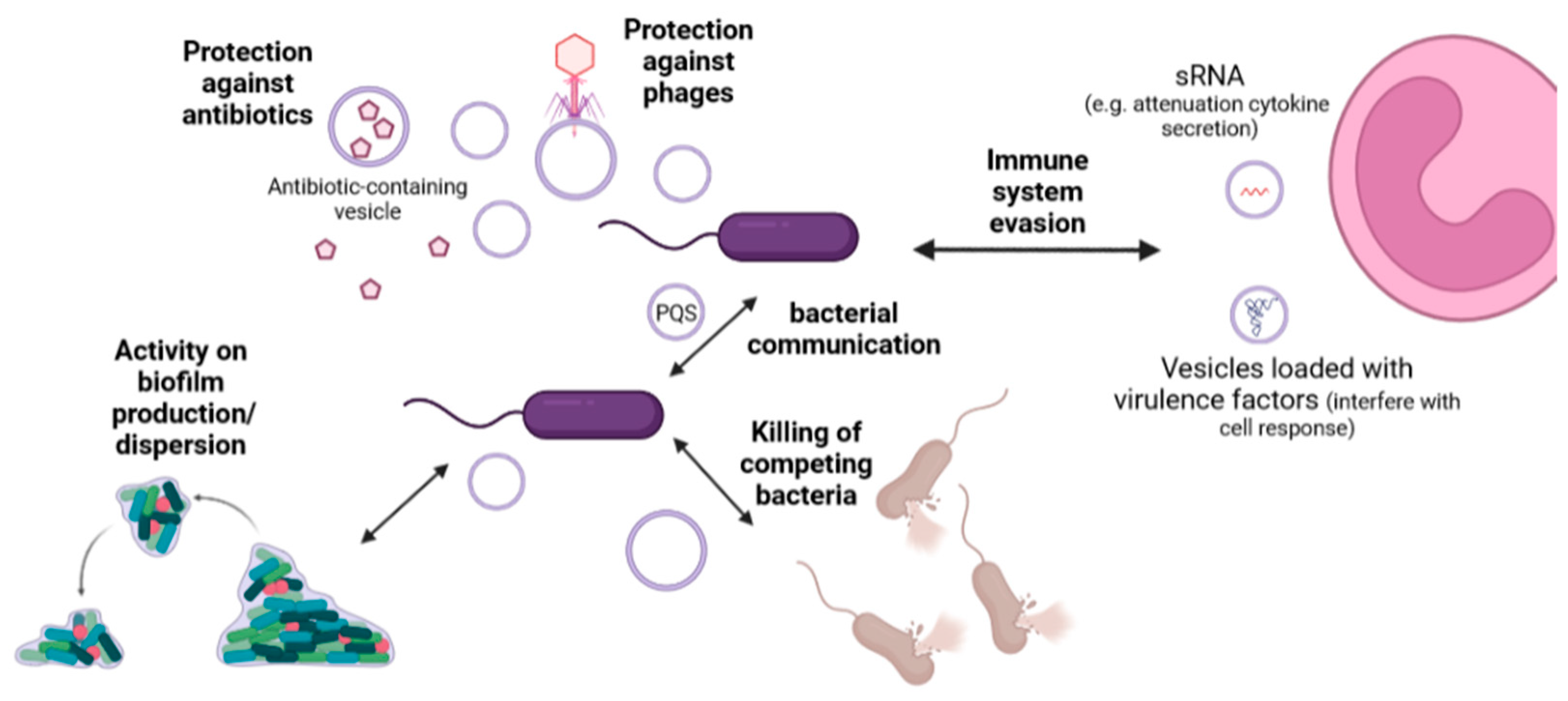 Antibiotics 12 00703 g002 Antibiotics 12 00703 g002