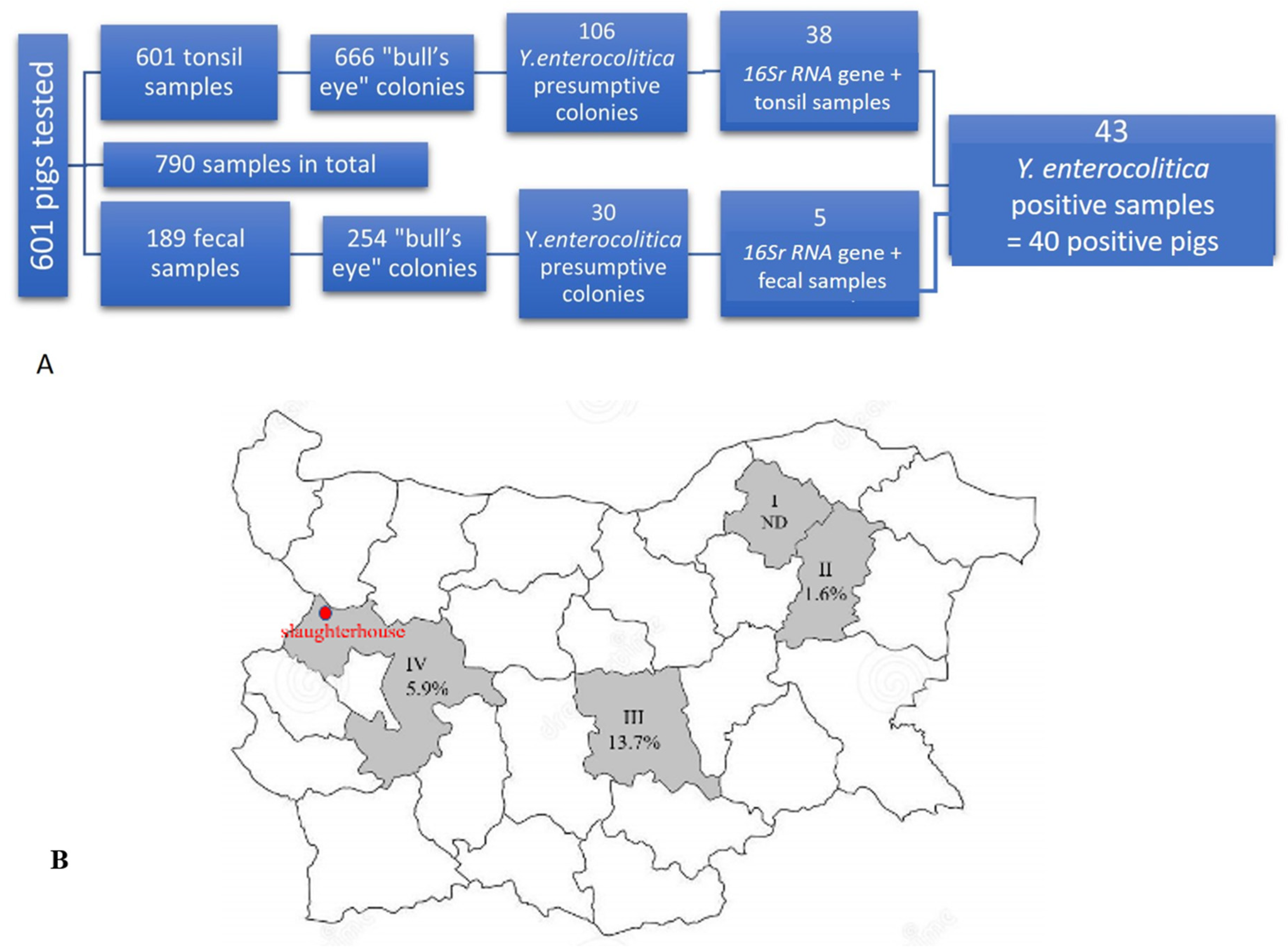 Antibiotics 12 00716 g001