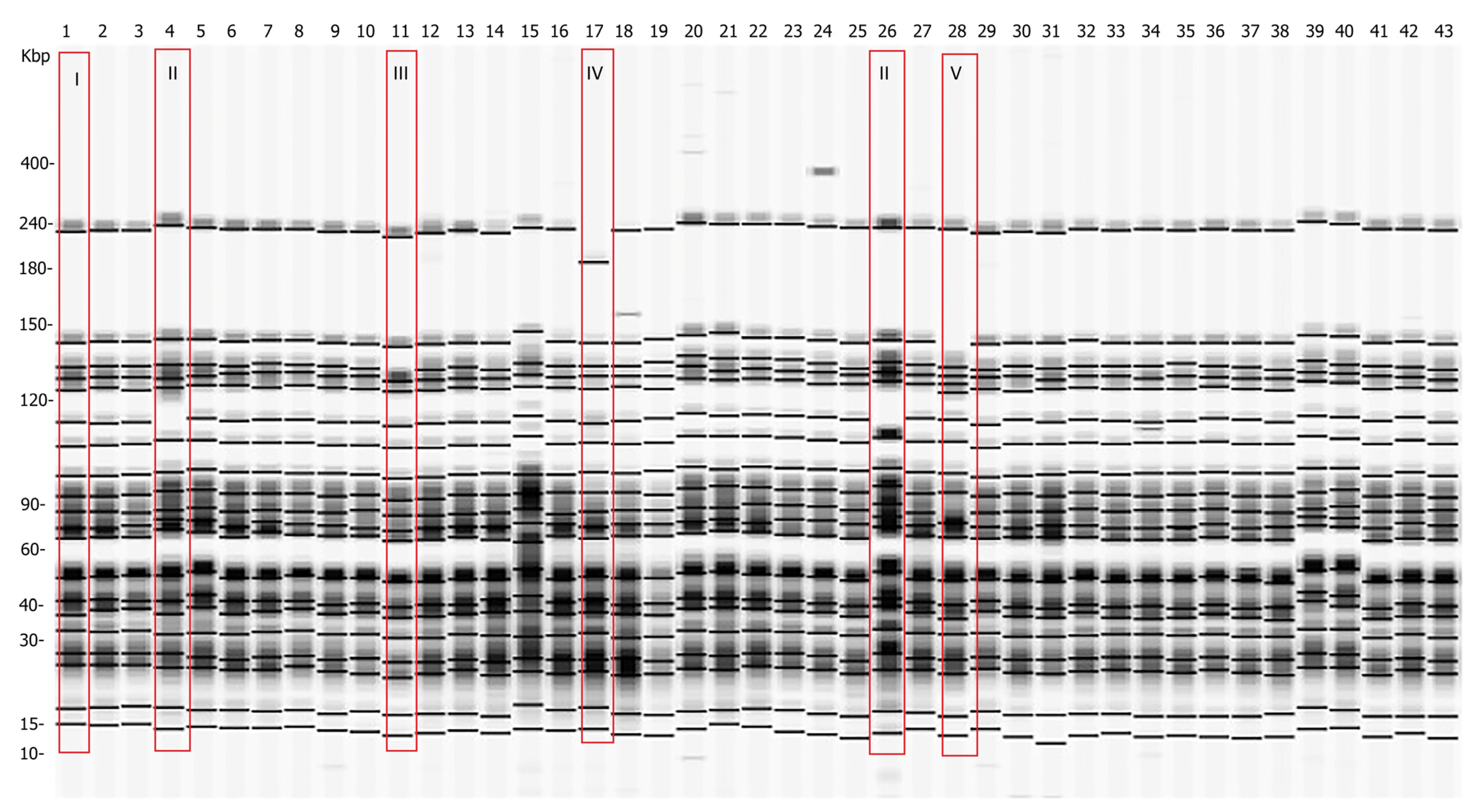Antibiotics 12 00716 g002